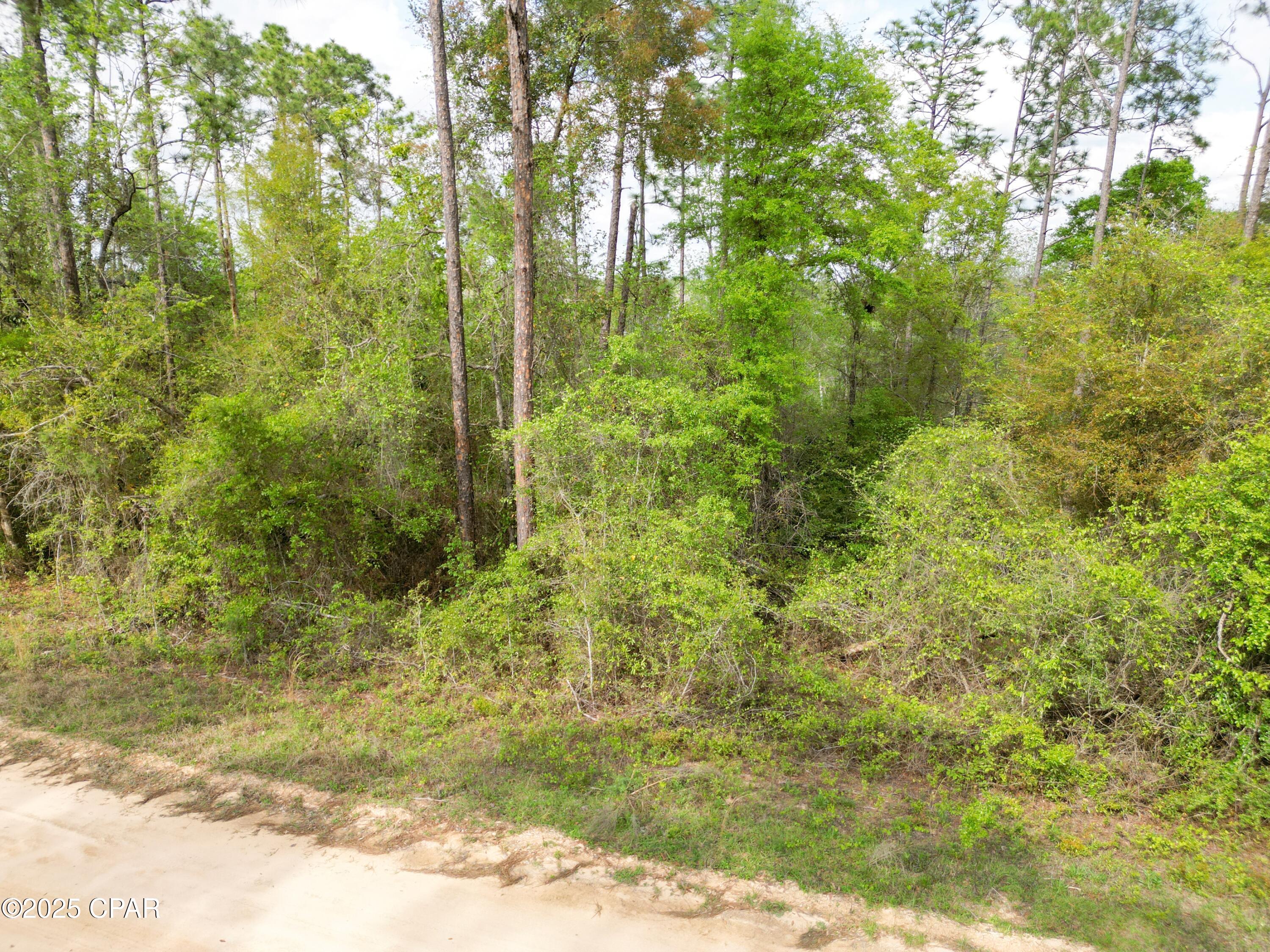 Lots 47 & 48 Blk 137 View Drive, Alford, Florida image 12