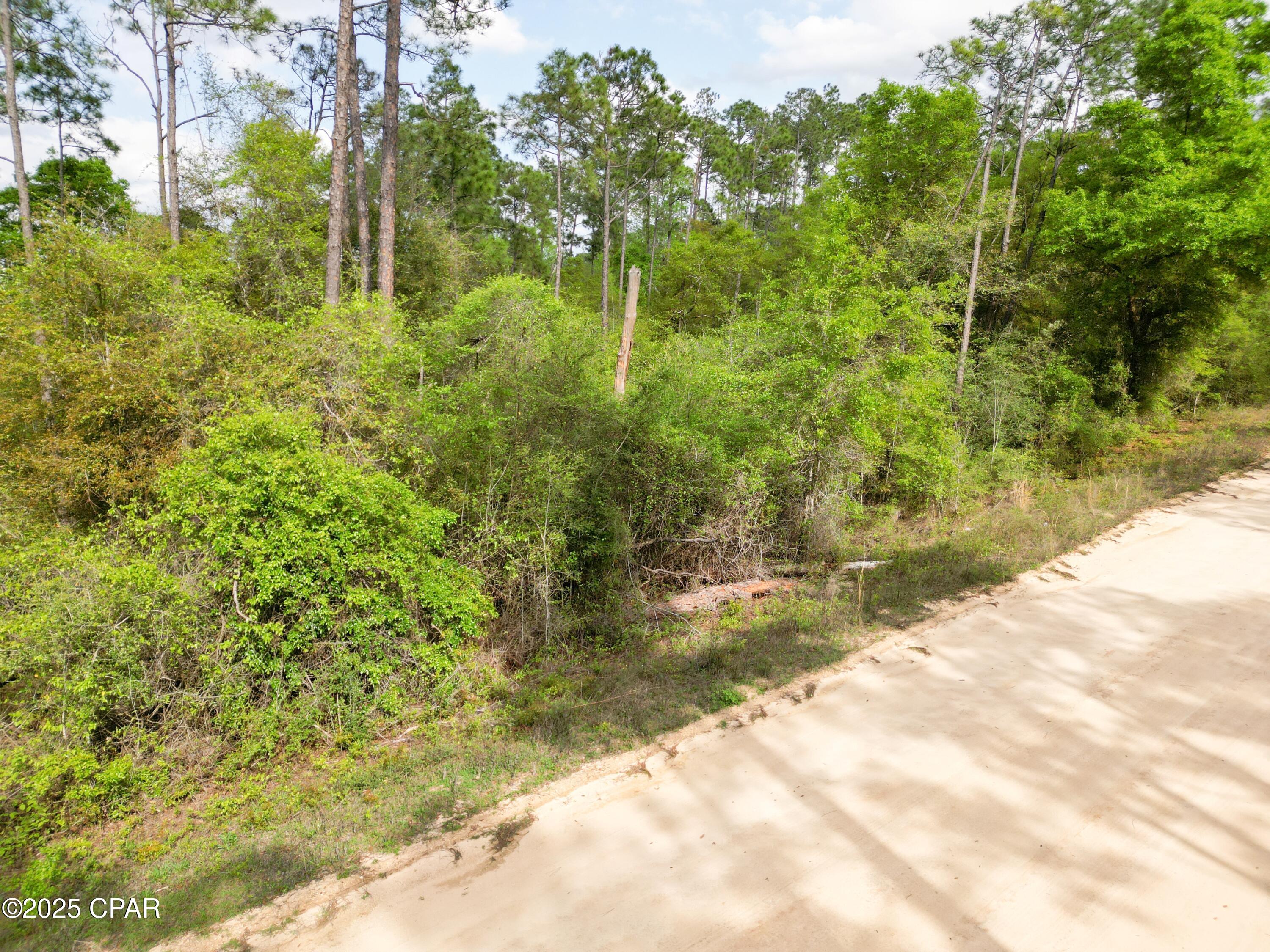 Lots 47 & 48 Blk 137 View Drive, Alford, Florida image 13