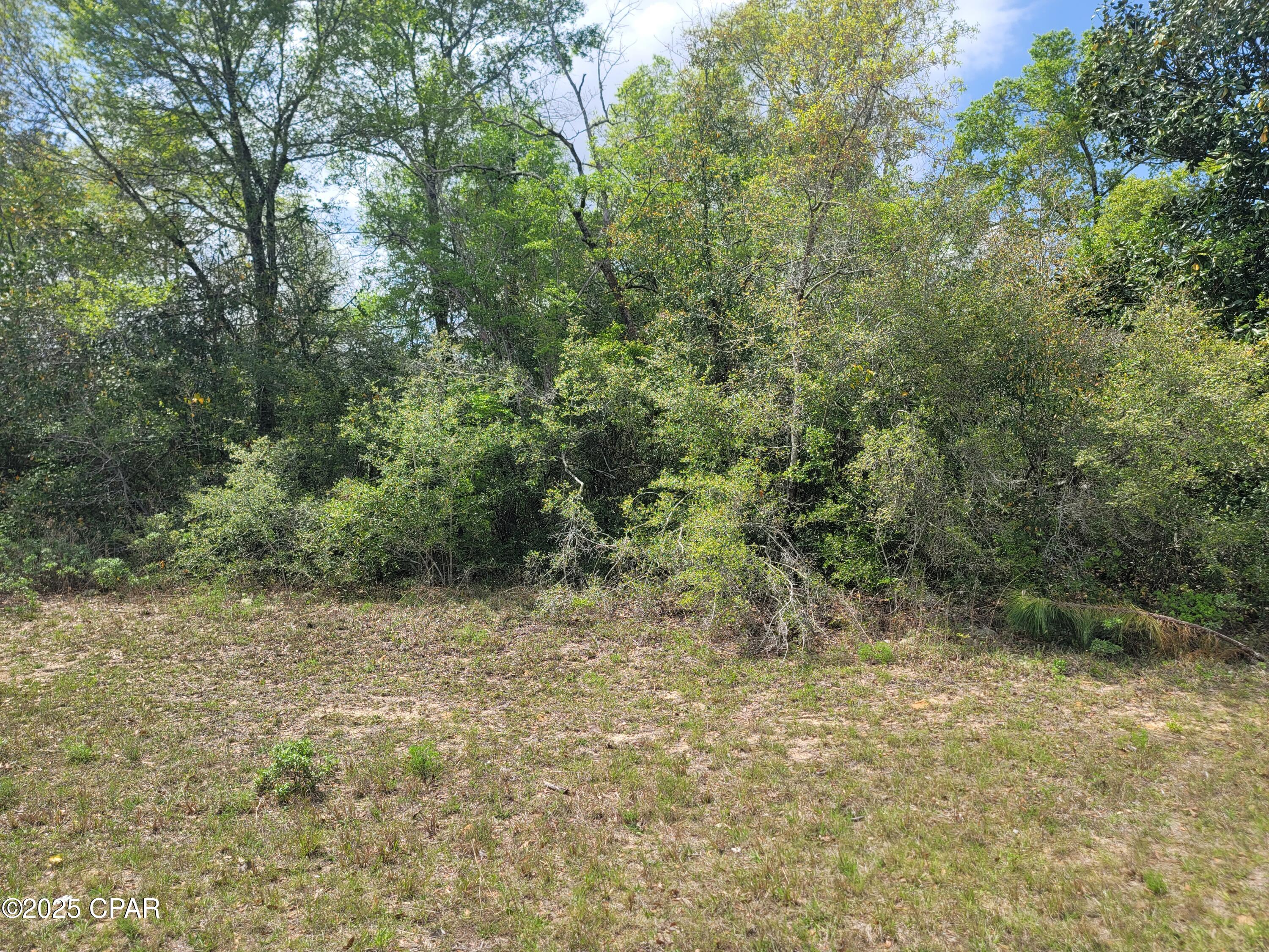 Lot 3 Brighton Avenue, Chipley, Florida image 4
