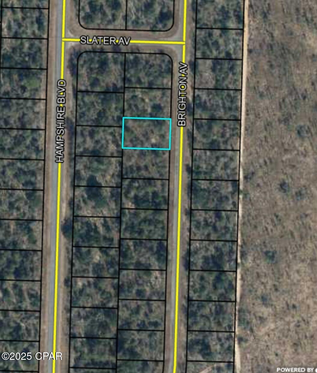 Lot 3 Brighton Avenue, Chipley, Florida image 5