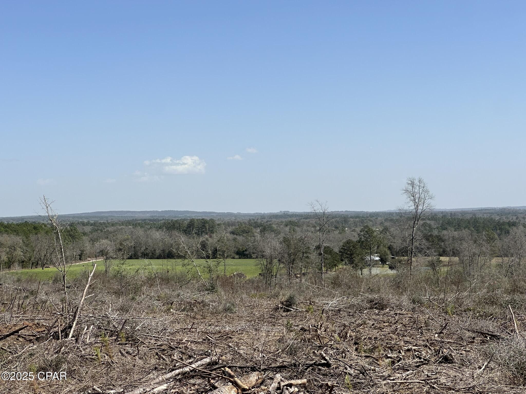 Tract#6410 Davidson Road S - W5 #286 +/- AC, Bonifay, Florida image 11