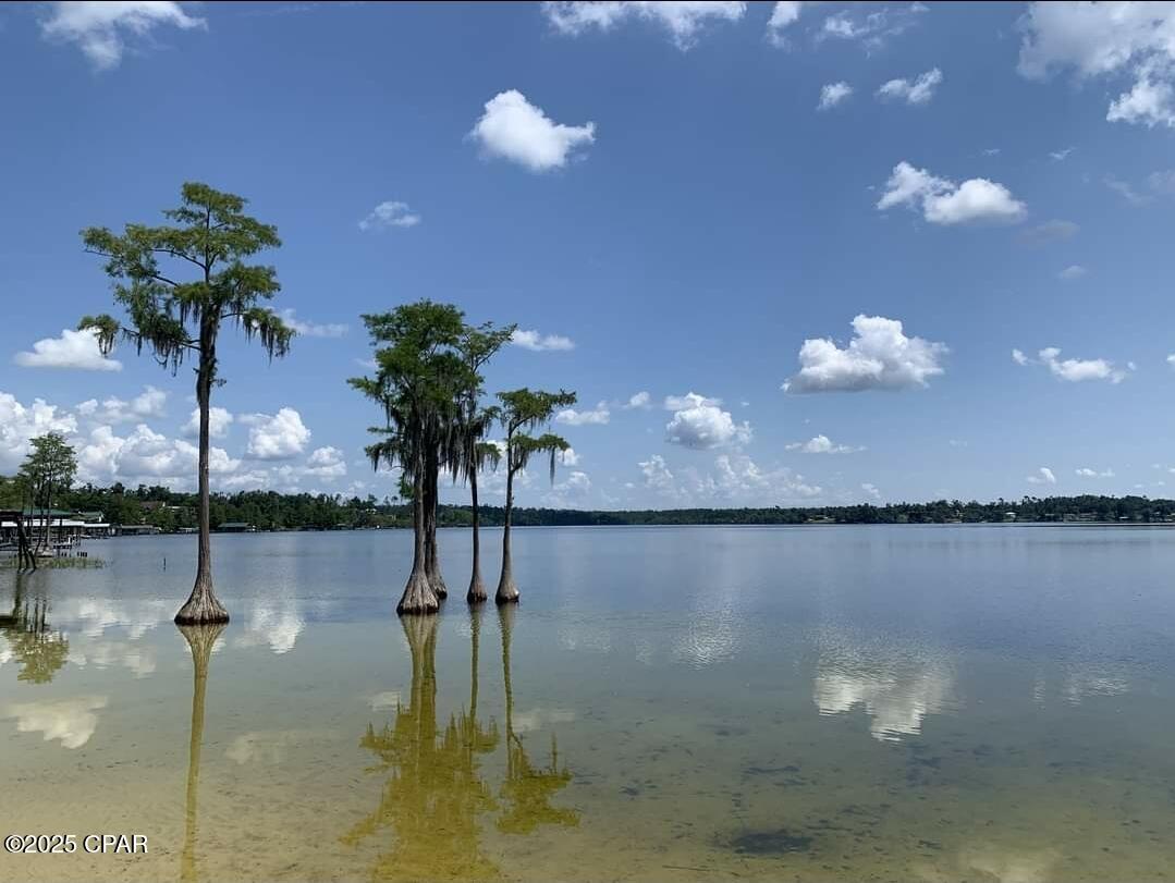 Lot 2 Jackson Road, Marianna, Florida image 7