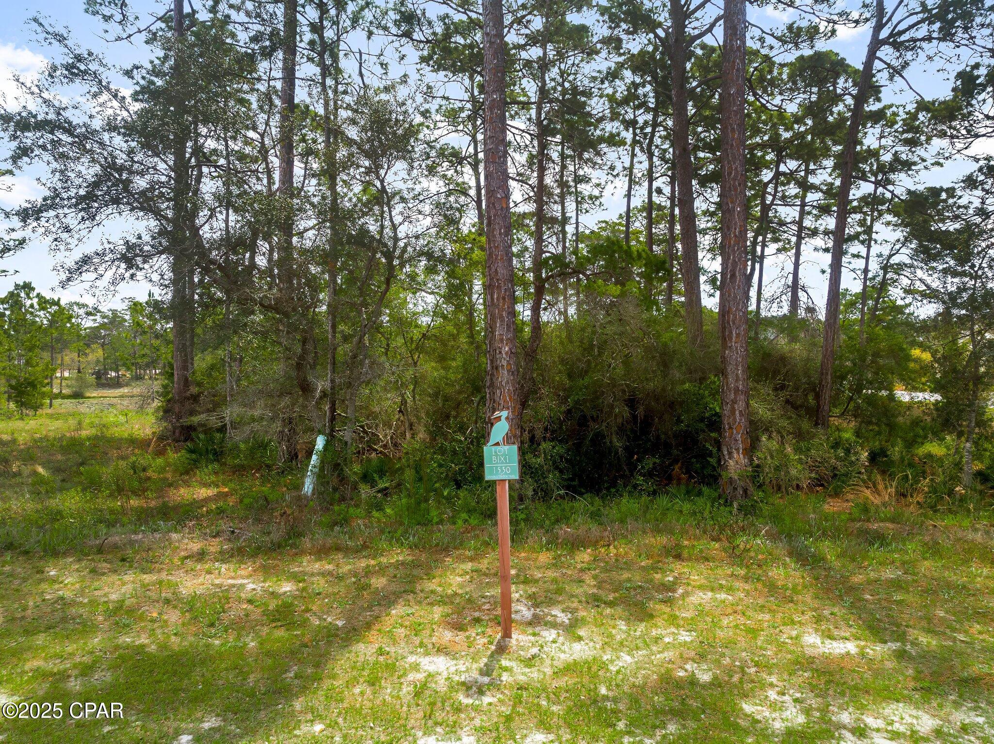 1530 Sharks Tooth Trail, Panama City Beach, Florida image 2