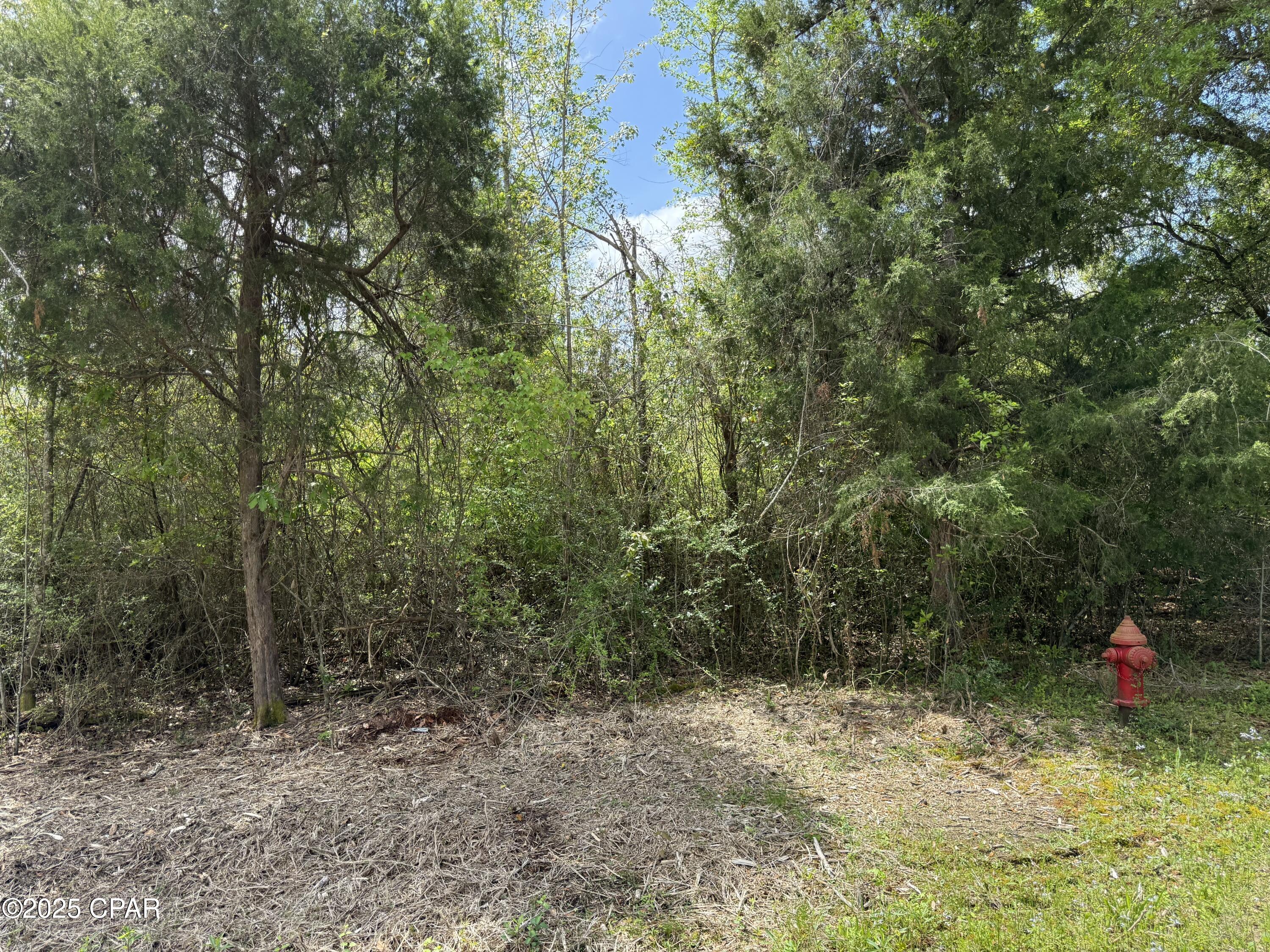 Lot 13 Westwood Drive, Alford, Florida image 2