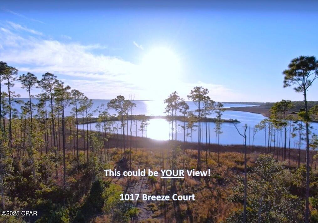 1017 Breeze Court, Panama City, Florida image 1