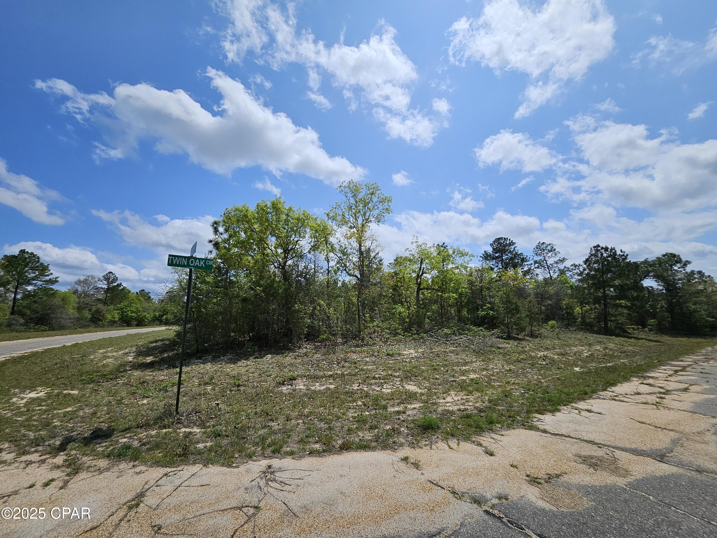 TBD Twin Oak Circle, Chipley, Florida image 10