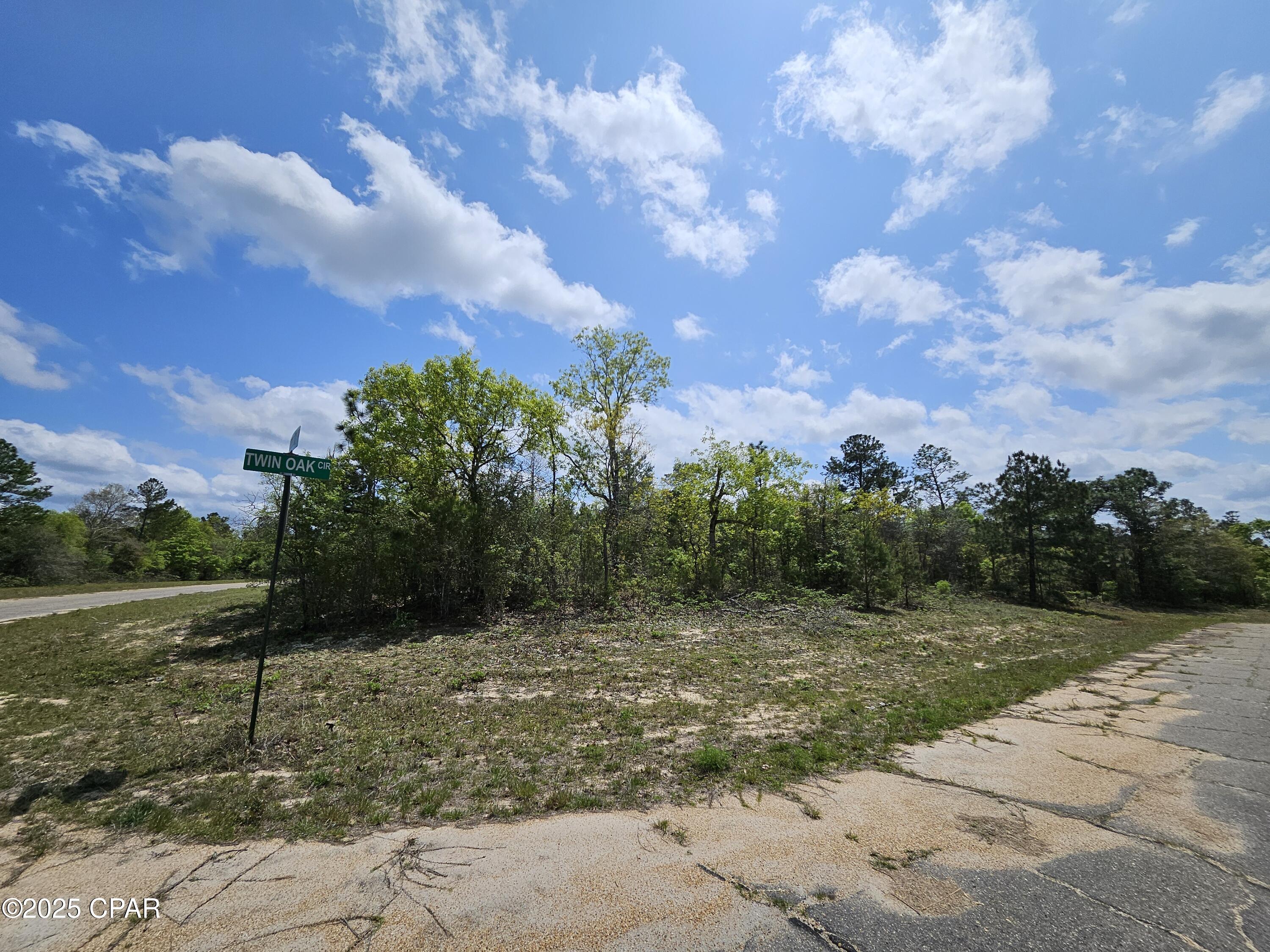 TBD Twin Oak Circle, Chipley, Florida image 11