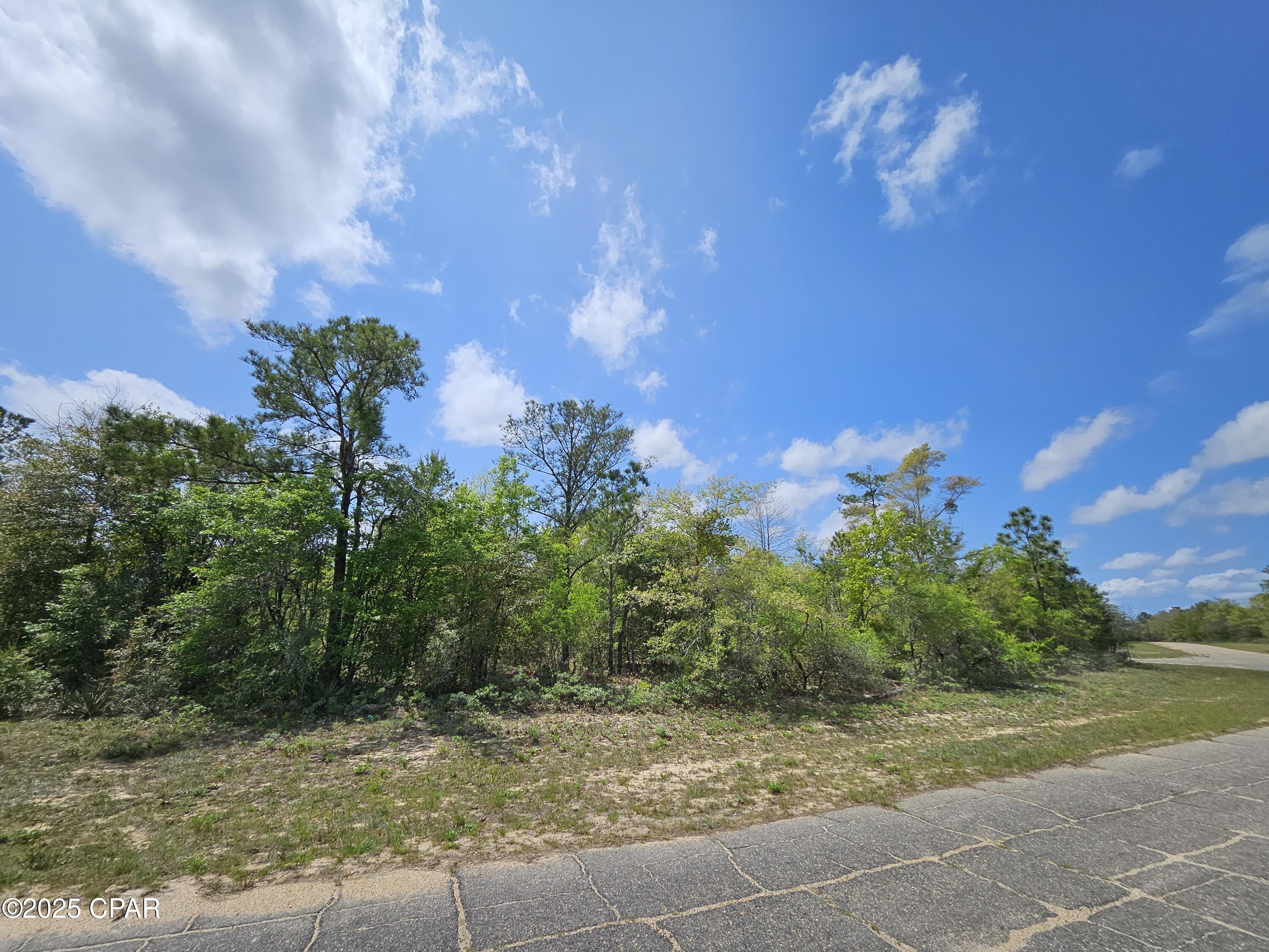 TBD Twin Oak Circle, Chipley, Florida image 7