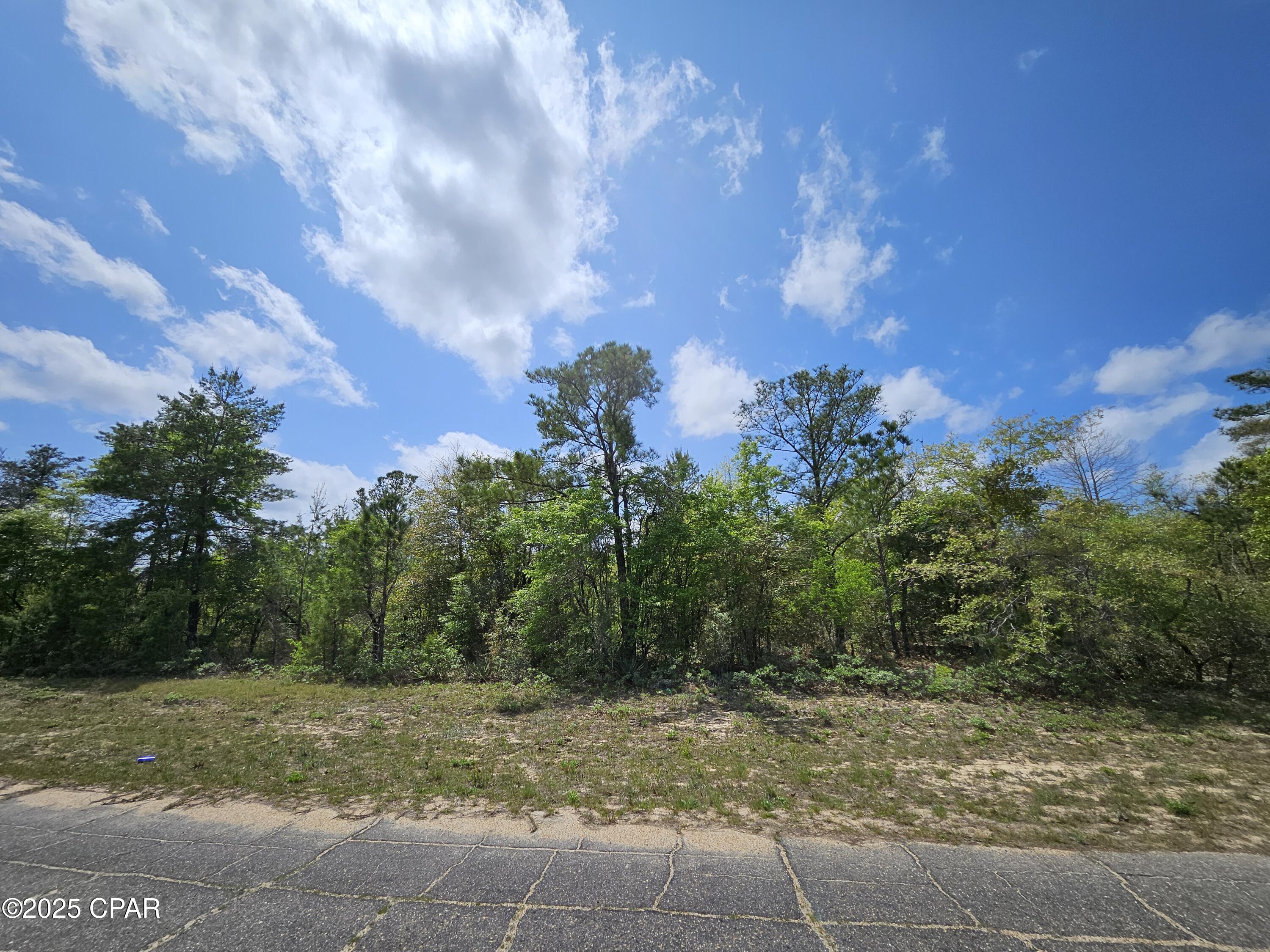TBD Twin Oak & Canterbury Drive, Chipley, Florida image 17