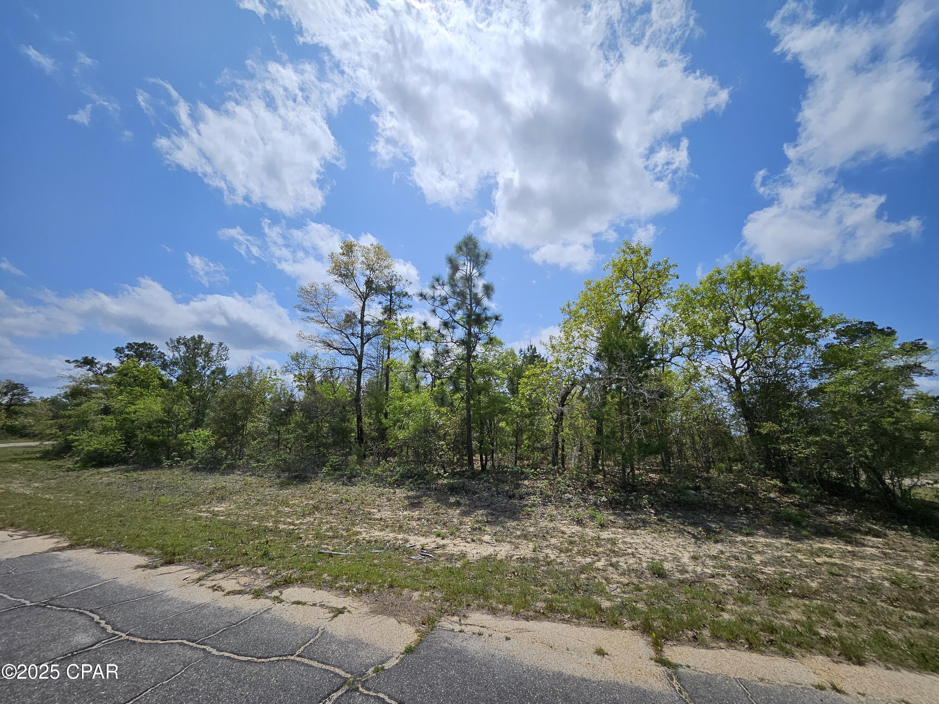 TBD Twin Oak & Canterbury Drive, Chipley, Florida image 4