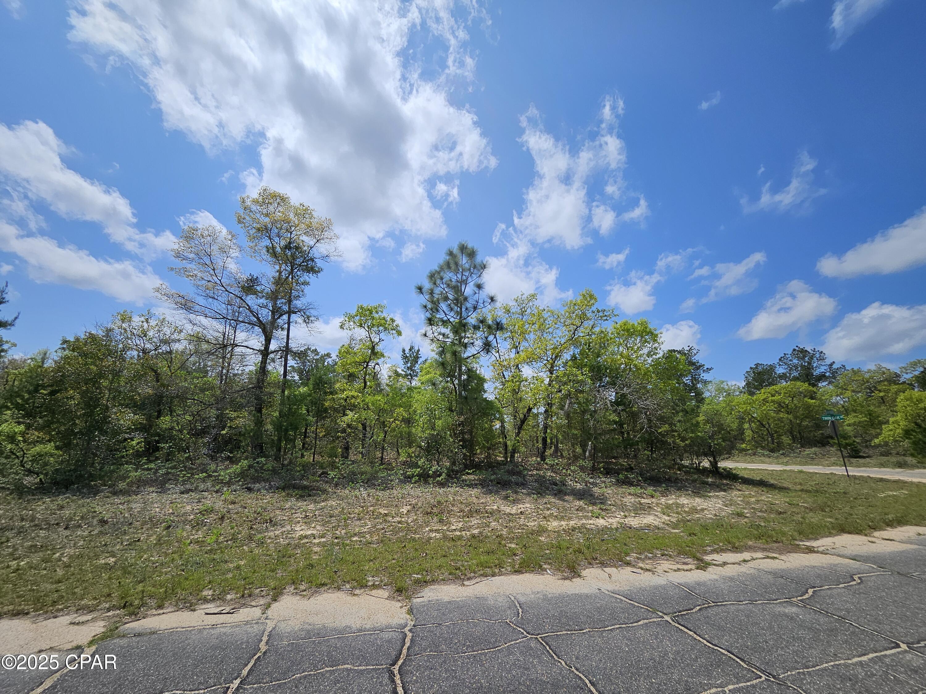 TBD Twin Oak & Canterbury Drive, Chipley, Florida image 5
