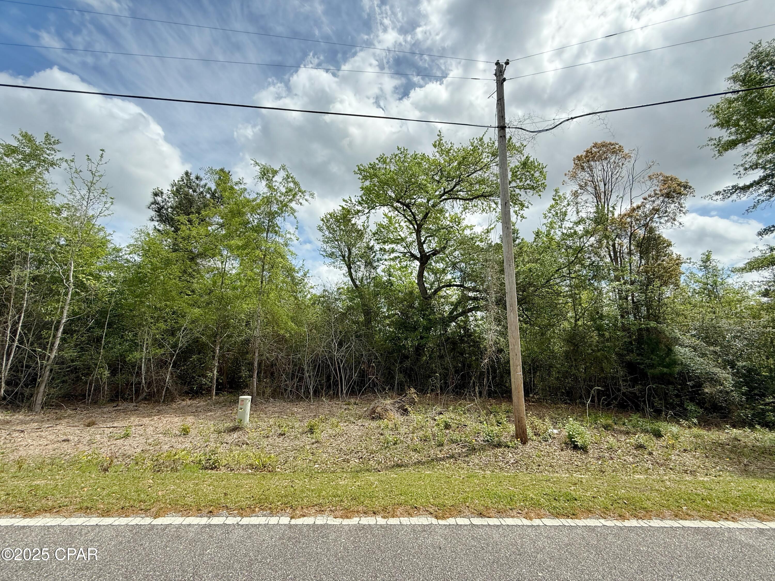 00 Mashburn Road, Marianna, Florida image 3