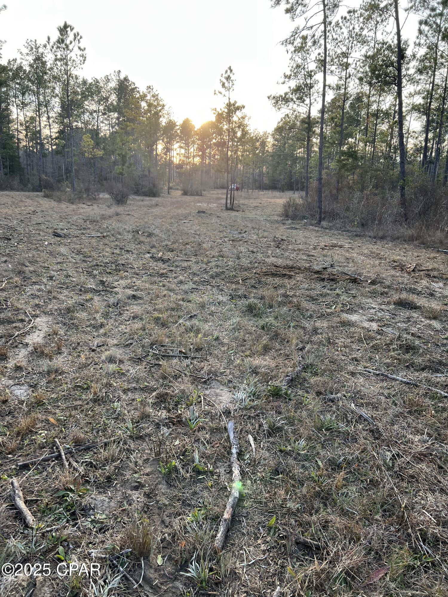 2839 Highway 79, Vernon, Florida image 15