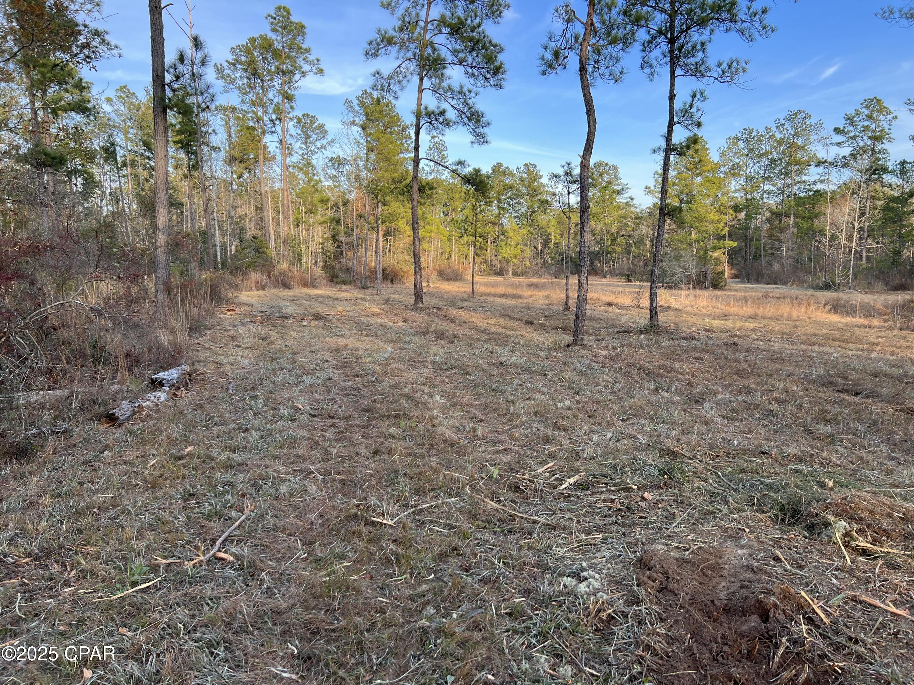 2839 Highway 79, Vernon, Florida image 16
