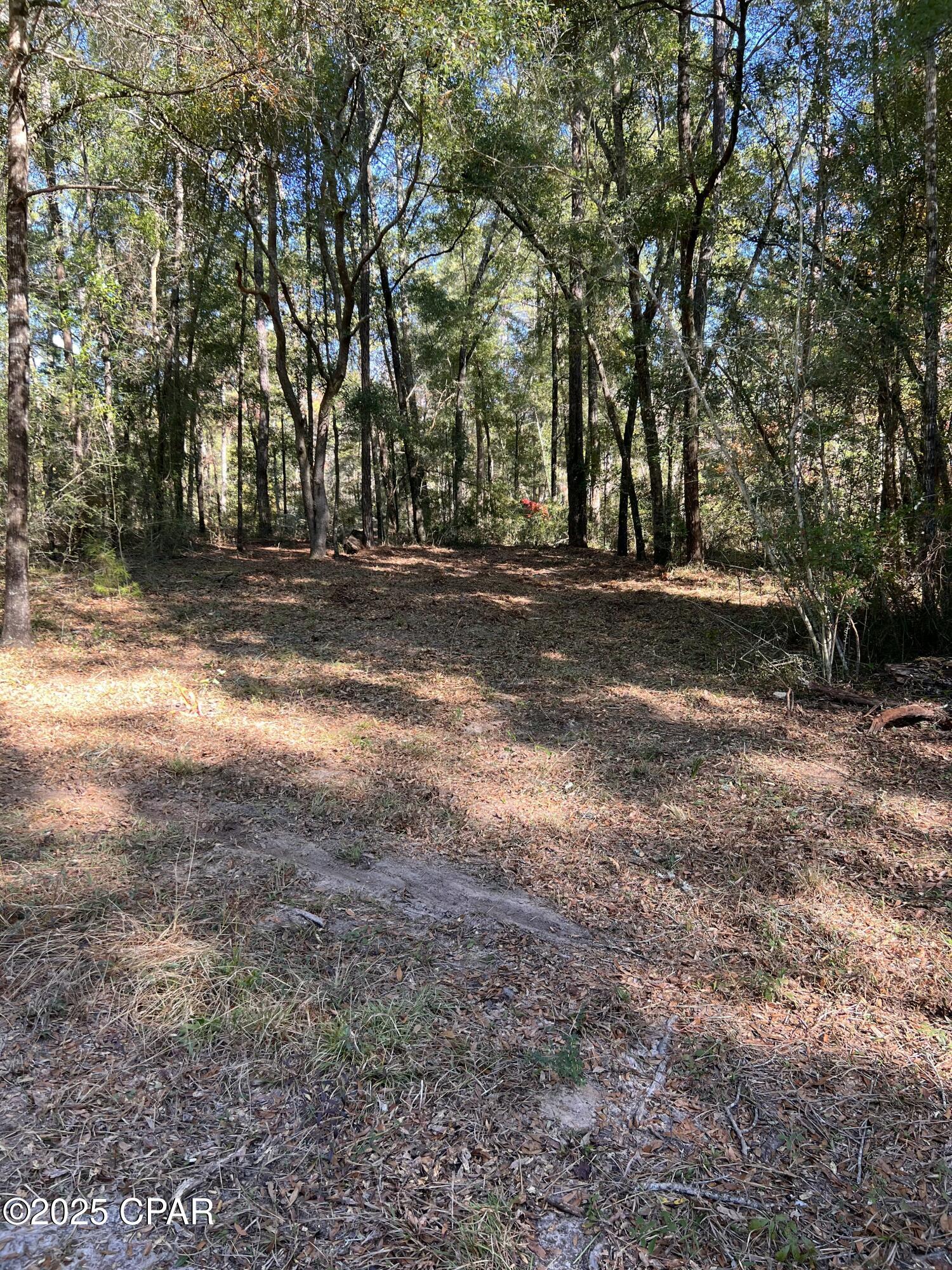 2839 Highway 79, Vernon, Florida image 19