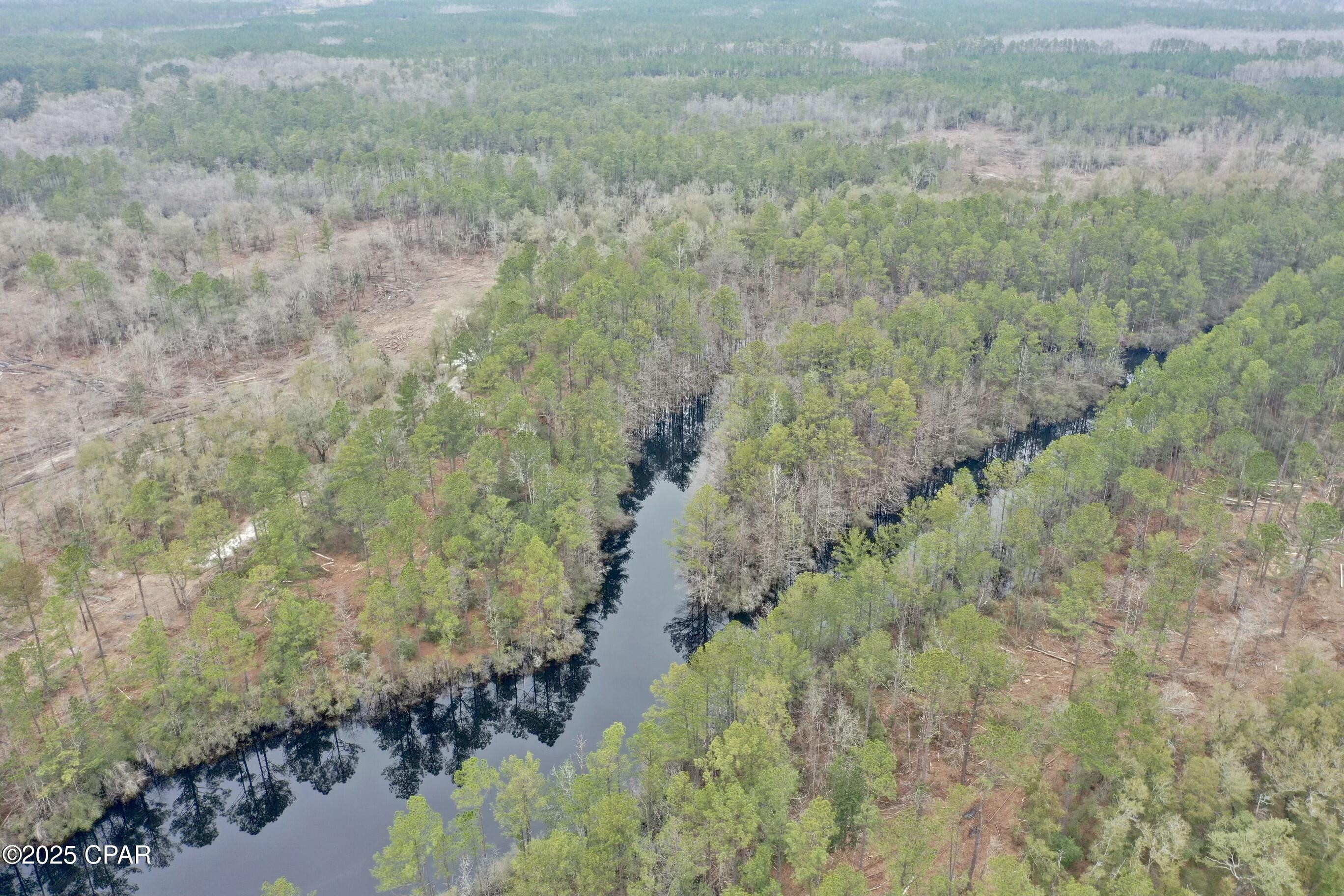 2839 Highway 79, Vernon, Florida image 22