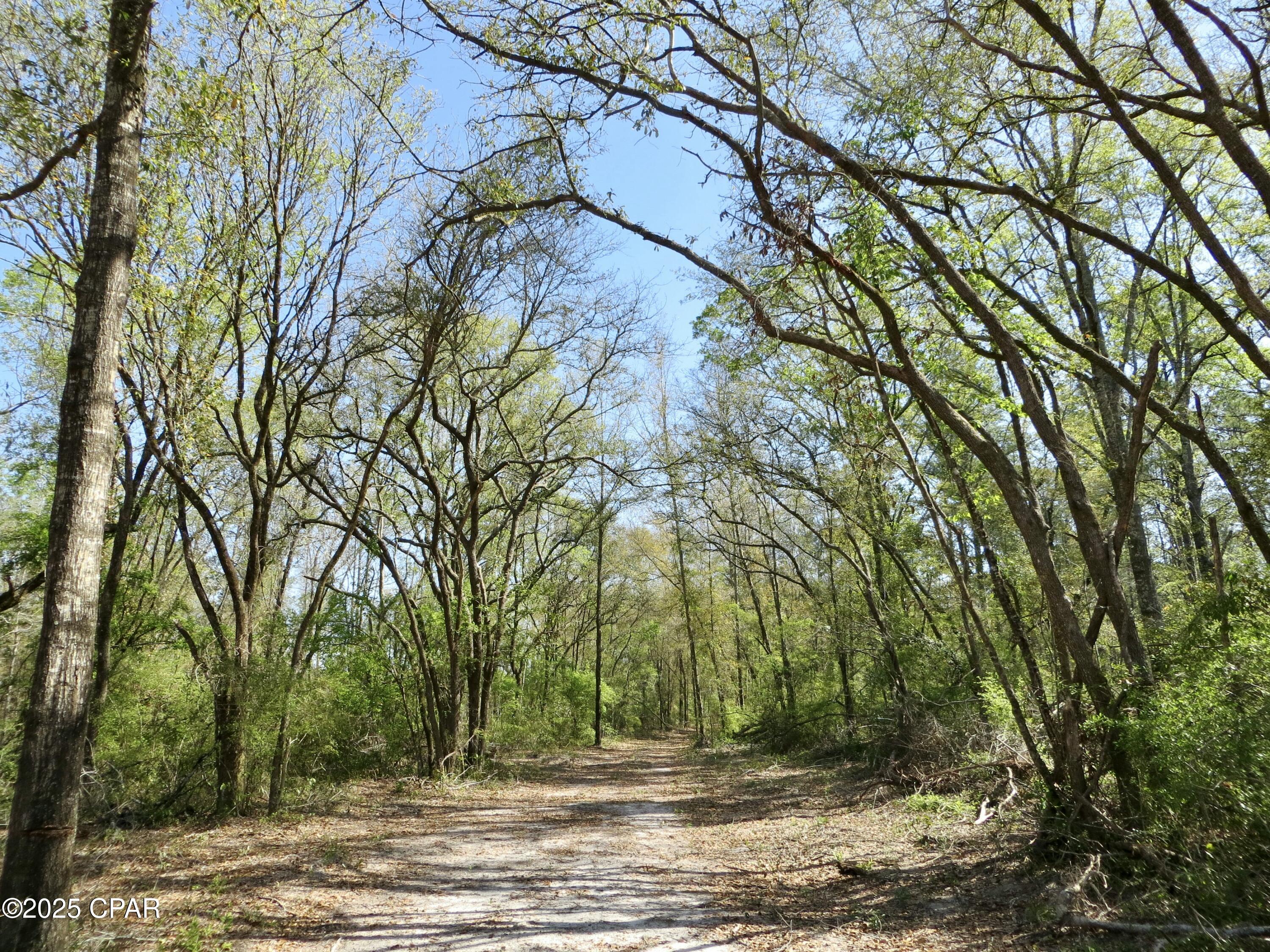 2839 Highway 79, Vernon, Florida image 4
