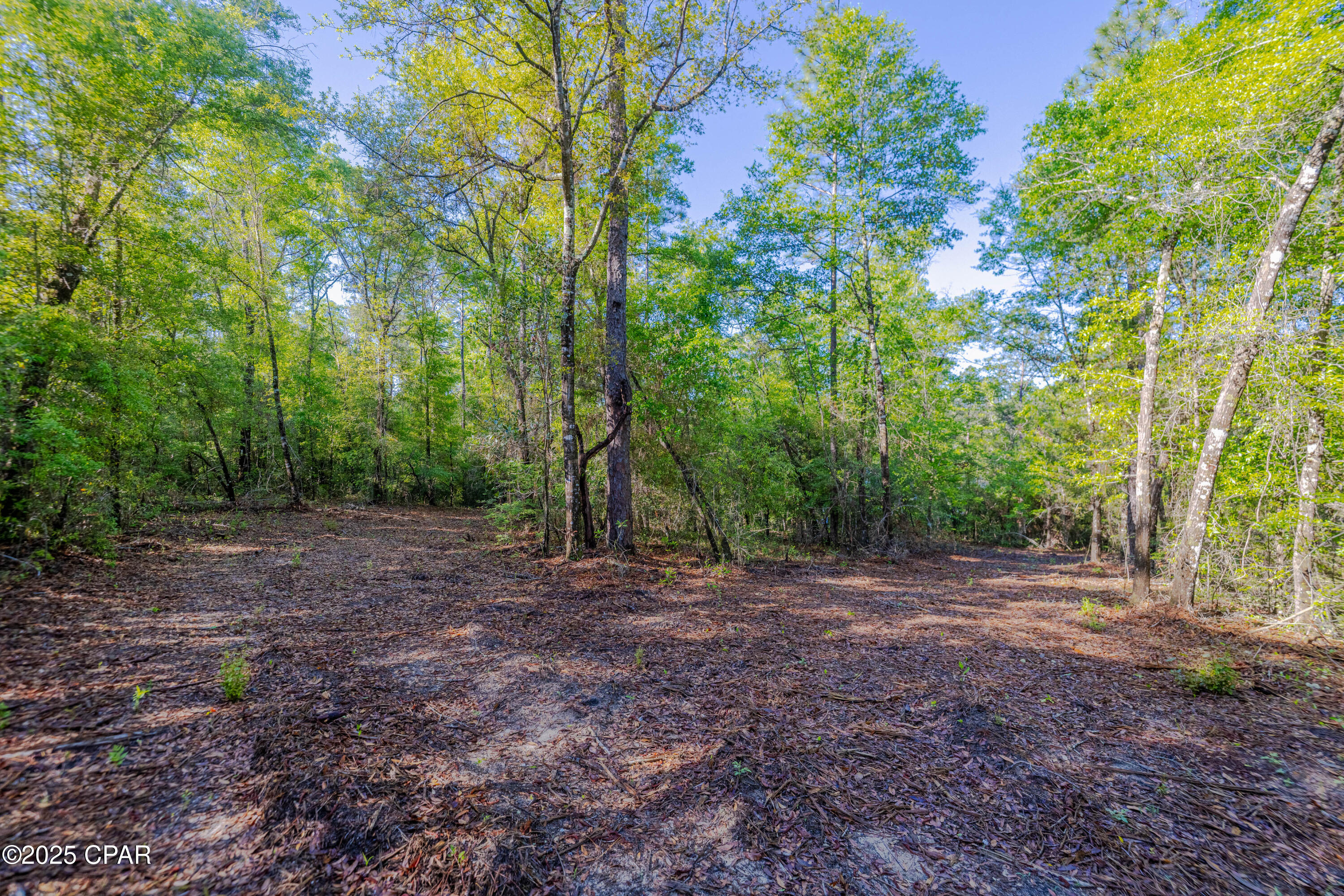 3338 Conway Court, Chipley, Florida image 13