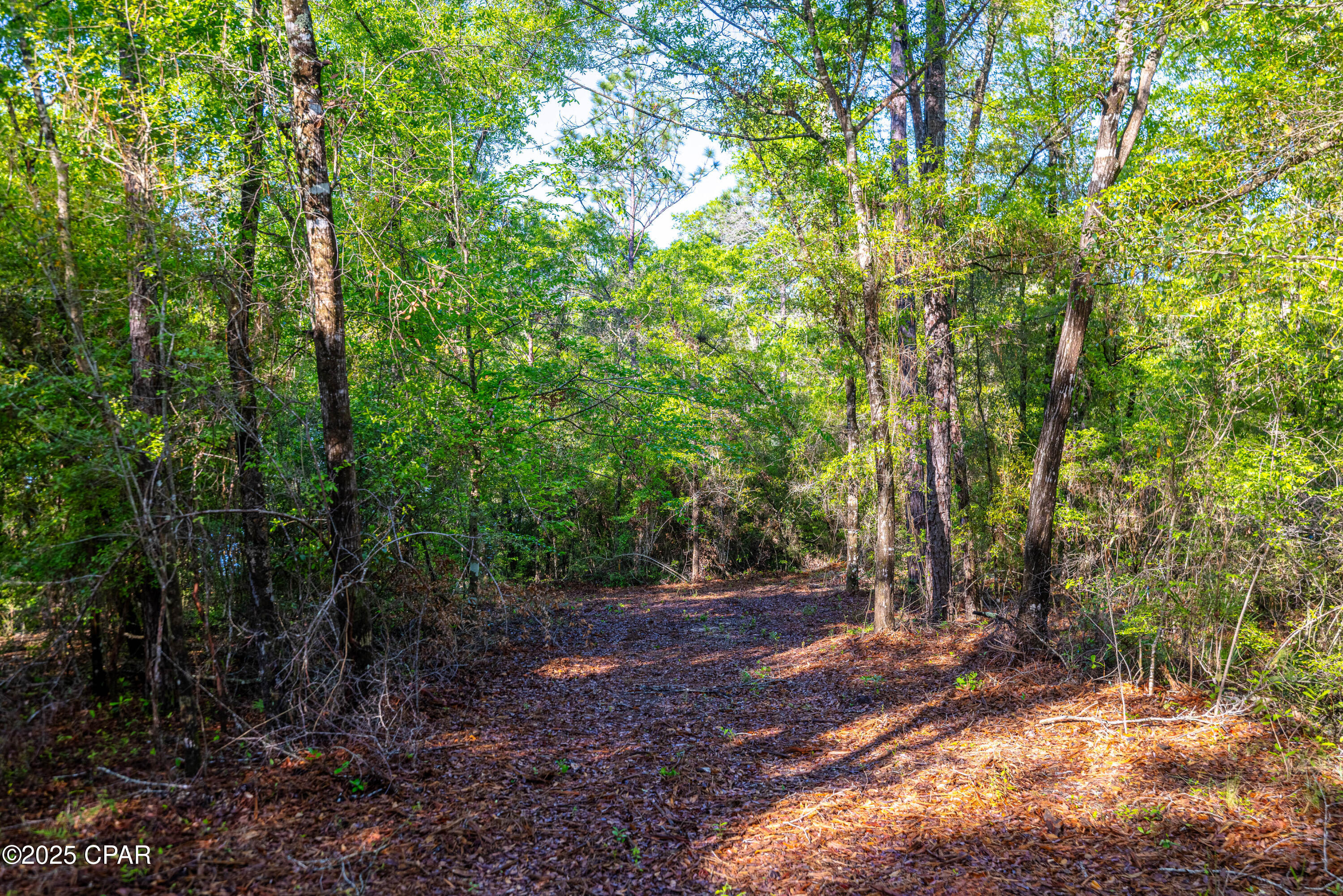 3338 Conway Court, Chipley, Florida image 17