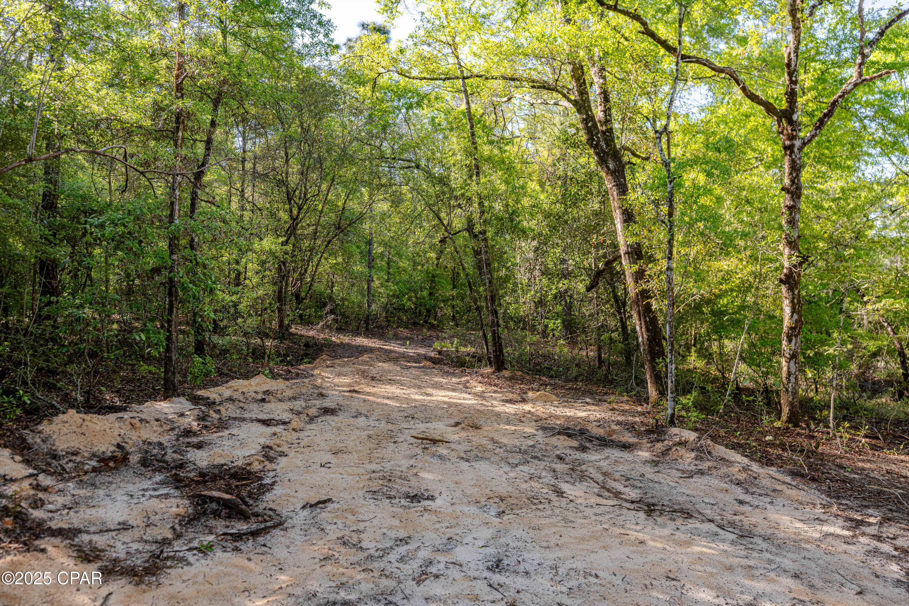 3338 Conway Court, Chipley, Florida image 18