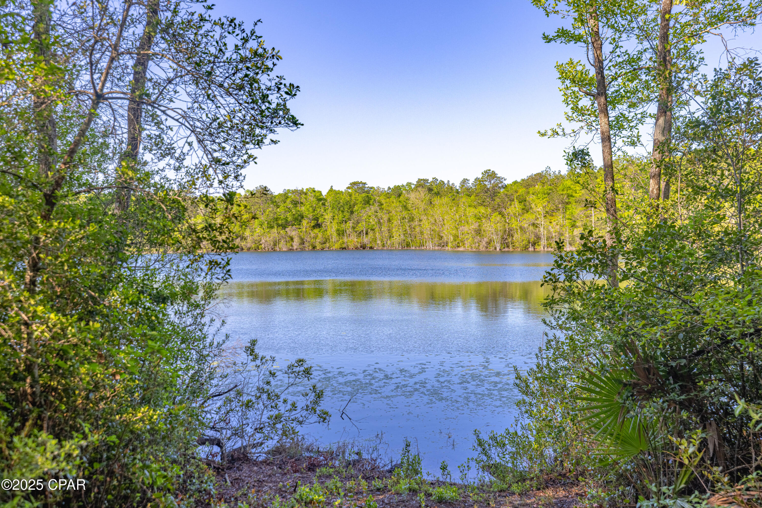 3338 Conway Court, Chipley, Florida image 4