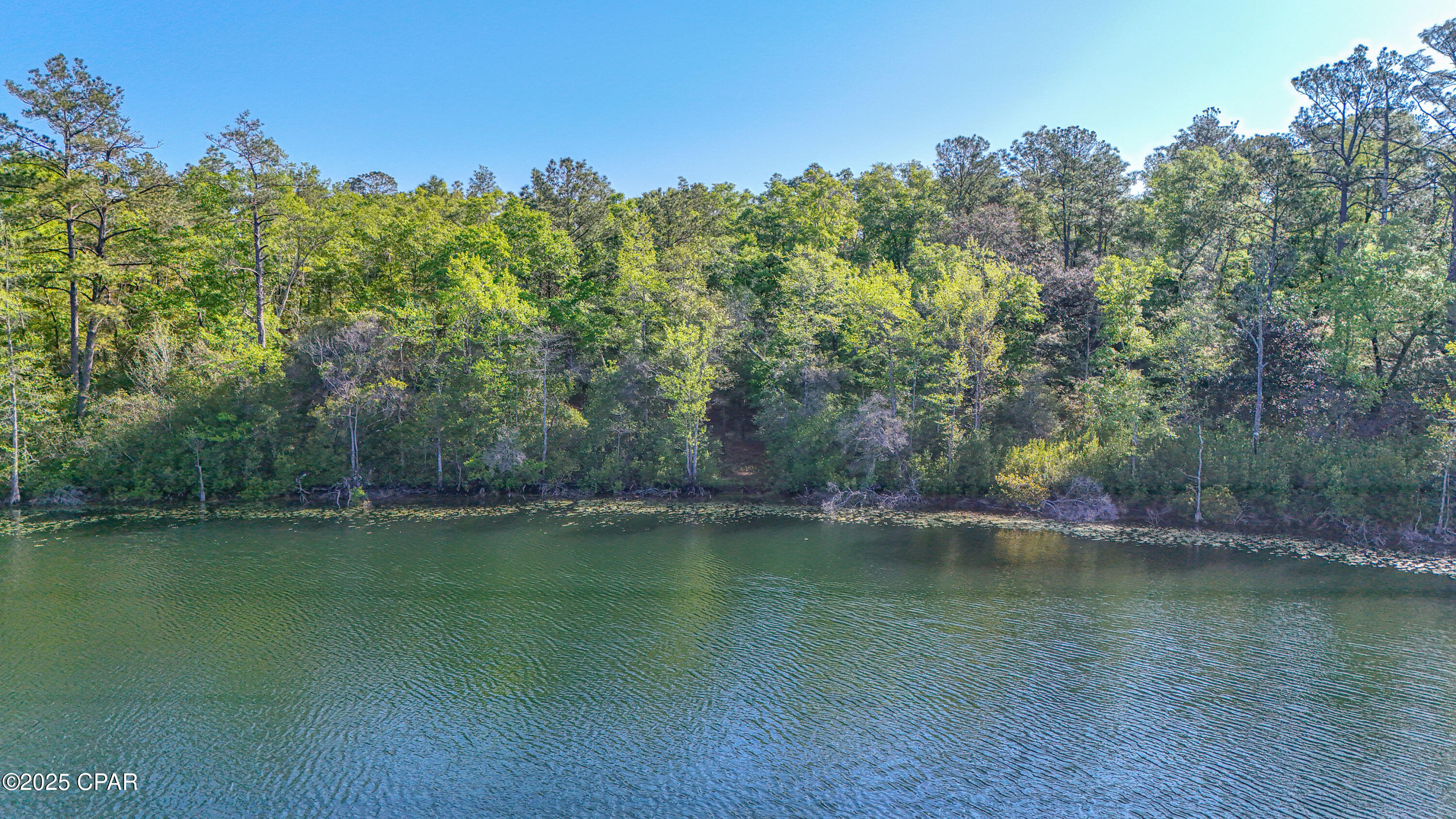 3338 Conway Court, Chipley, Florida image 46