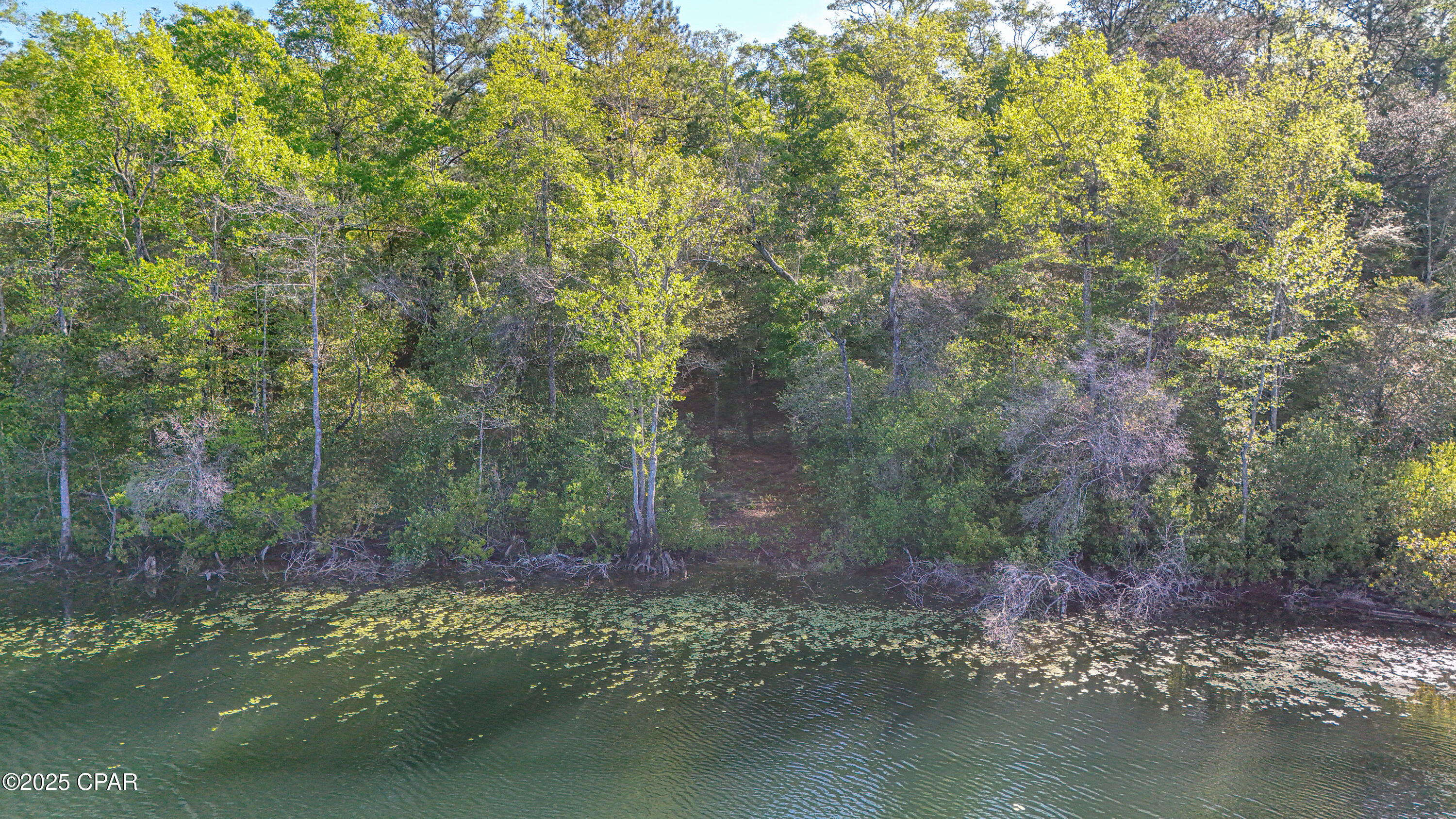 3338 Conway Court, Chipley, Florida image 5
