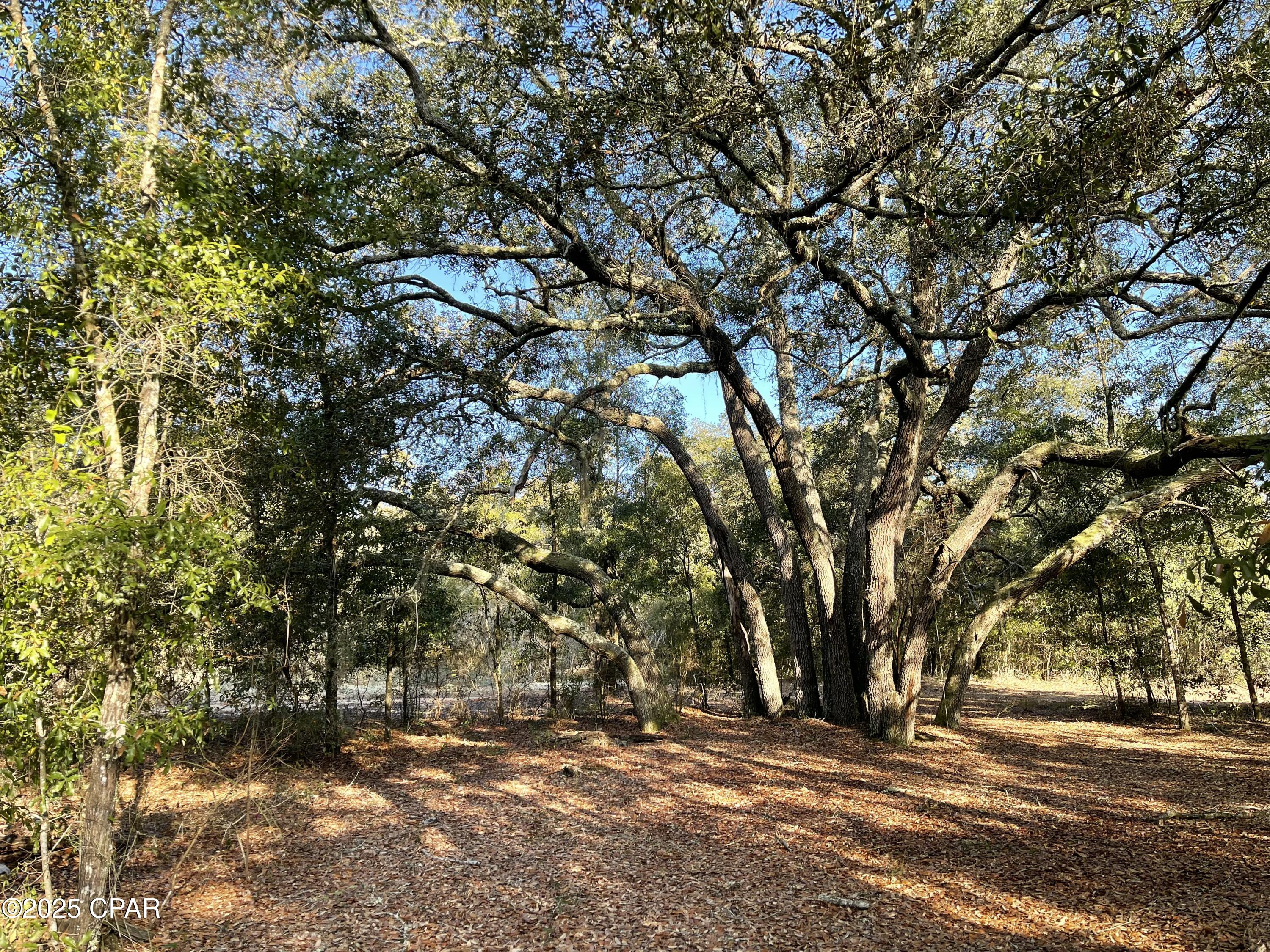 2711 Stallings Road, Chipley, Florida image 1