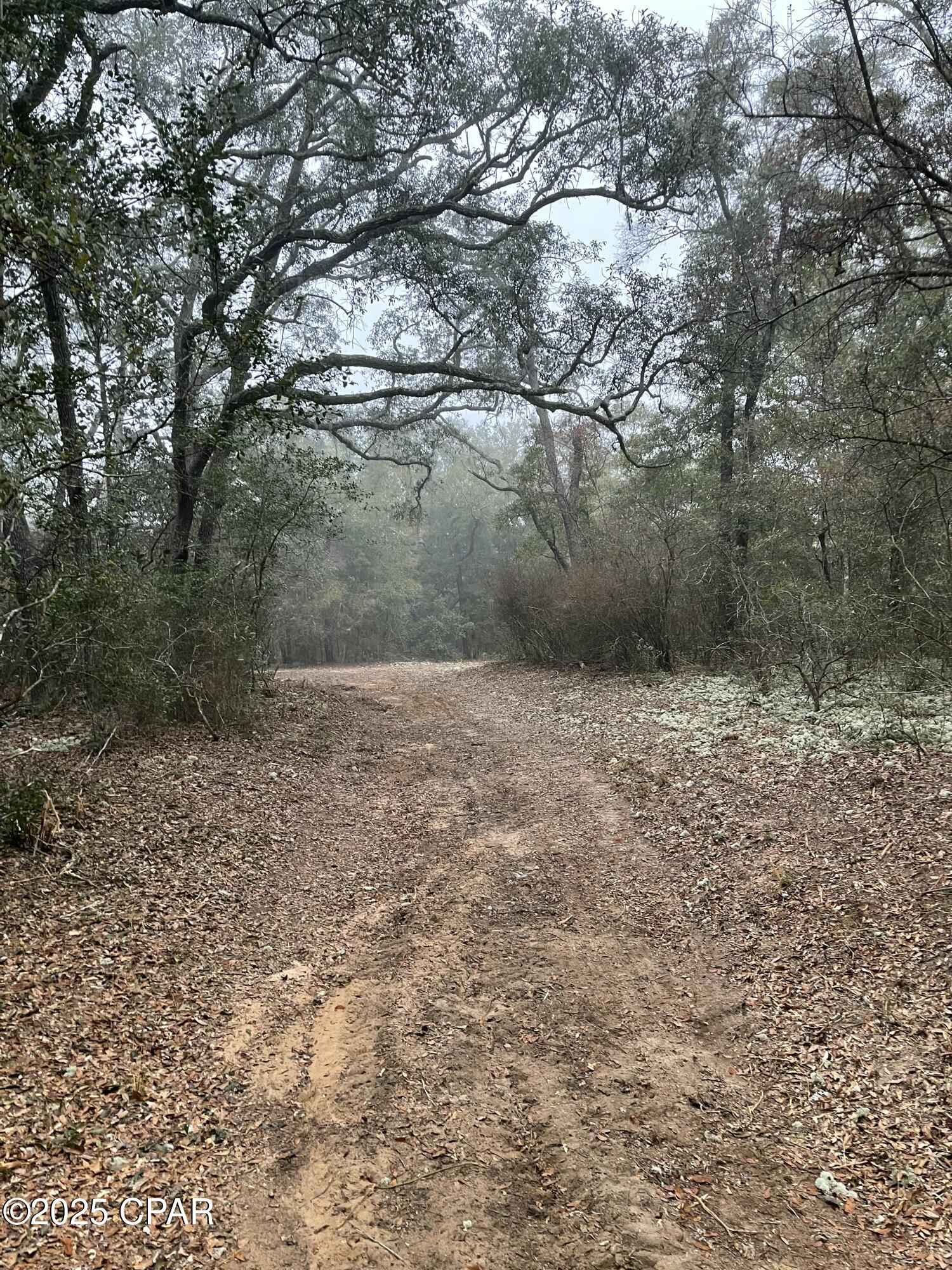 Image 10 For 2711 Stallings Road