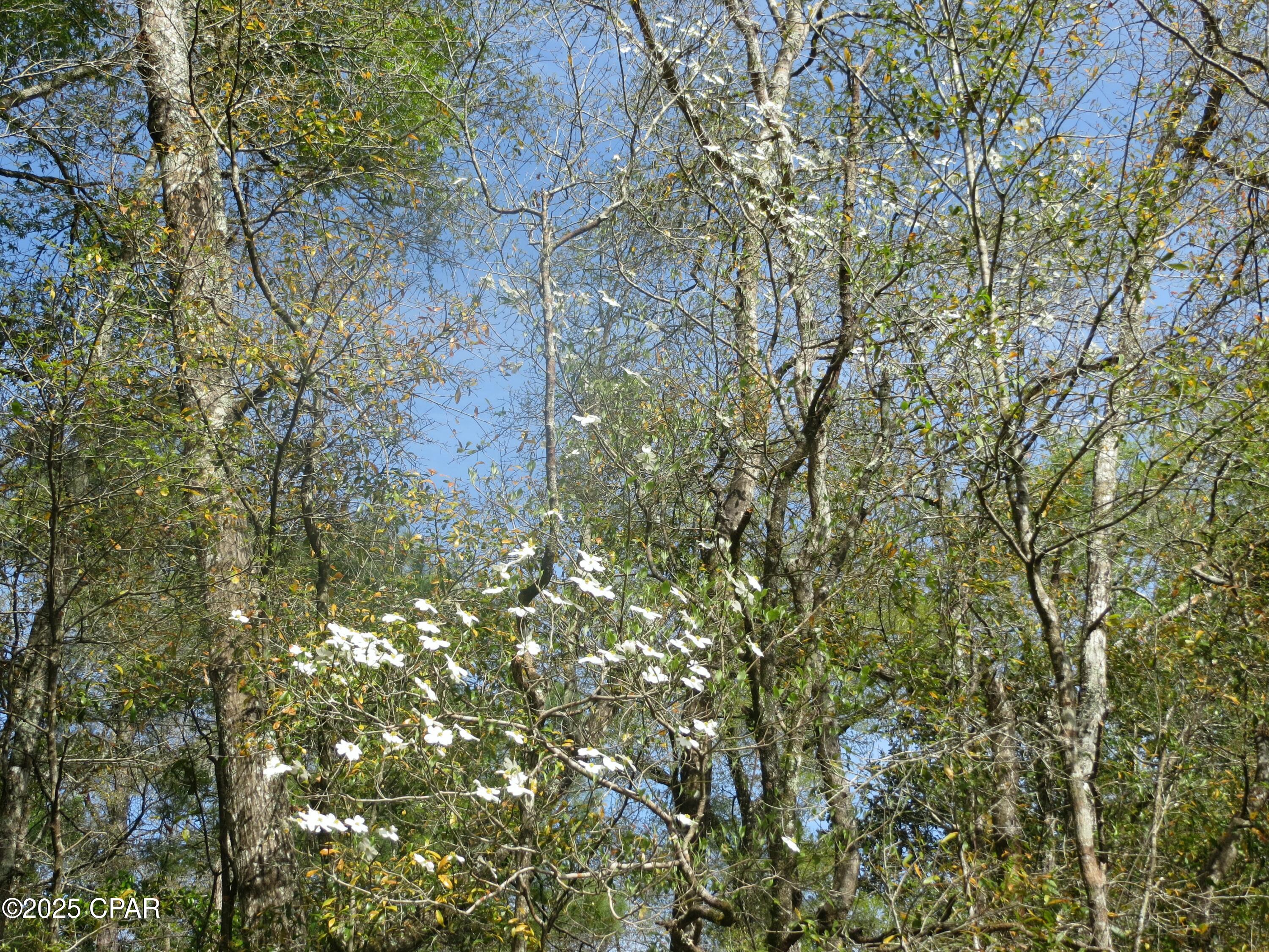 2711 Stallings Road, Chipley, Florida image 17