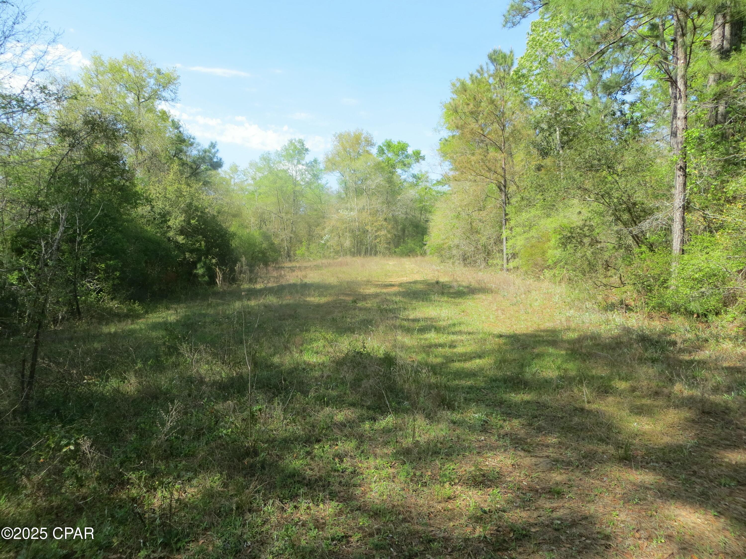 2711 Stallings Road, Chipley, Florida image 7