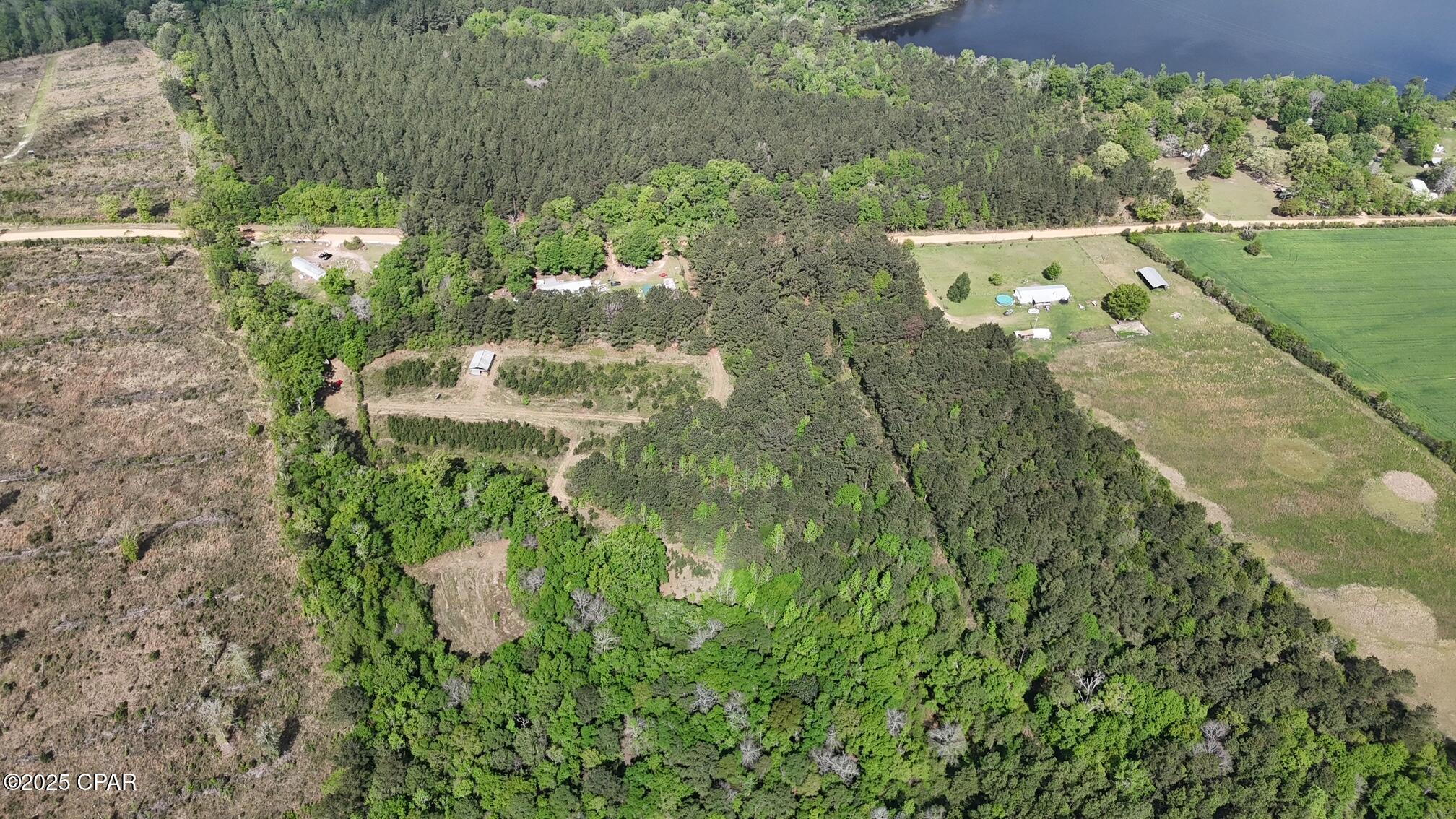 000 Lake Victor Road, Westville, Florida image 3