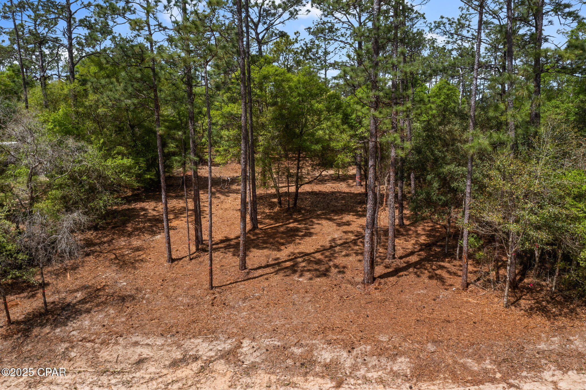 Lot 17 Dunford Circle, Chipley, Florida image 13