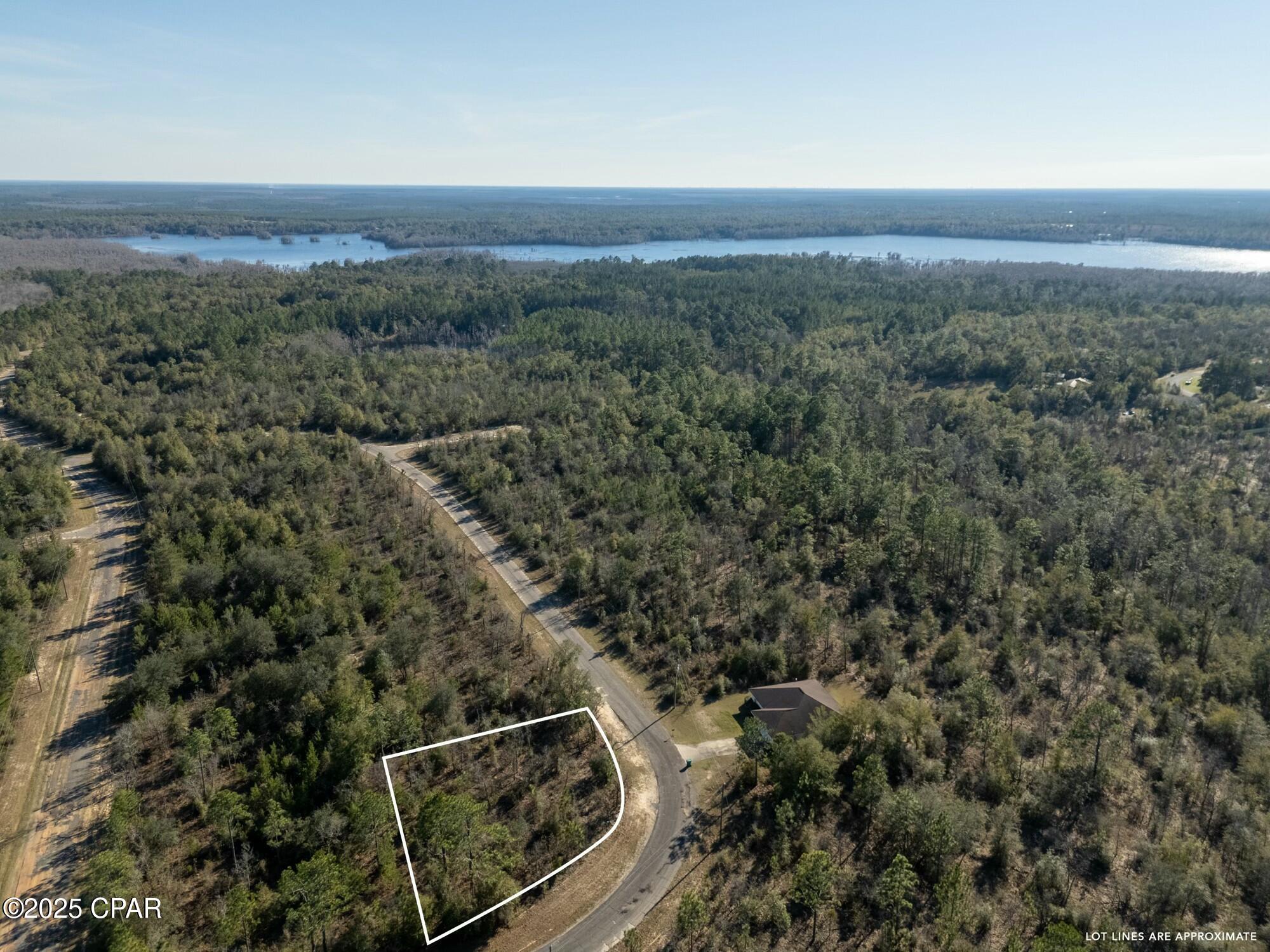 TBD Hernando, Chipley, Florida image 18