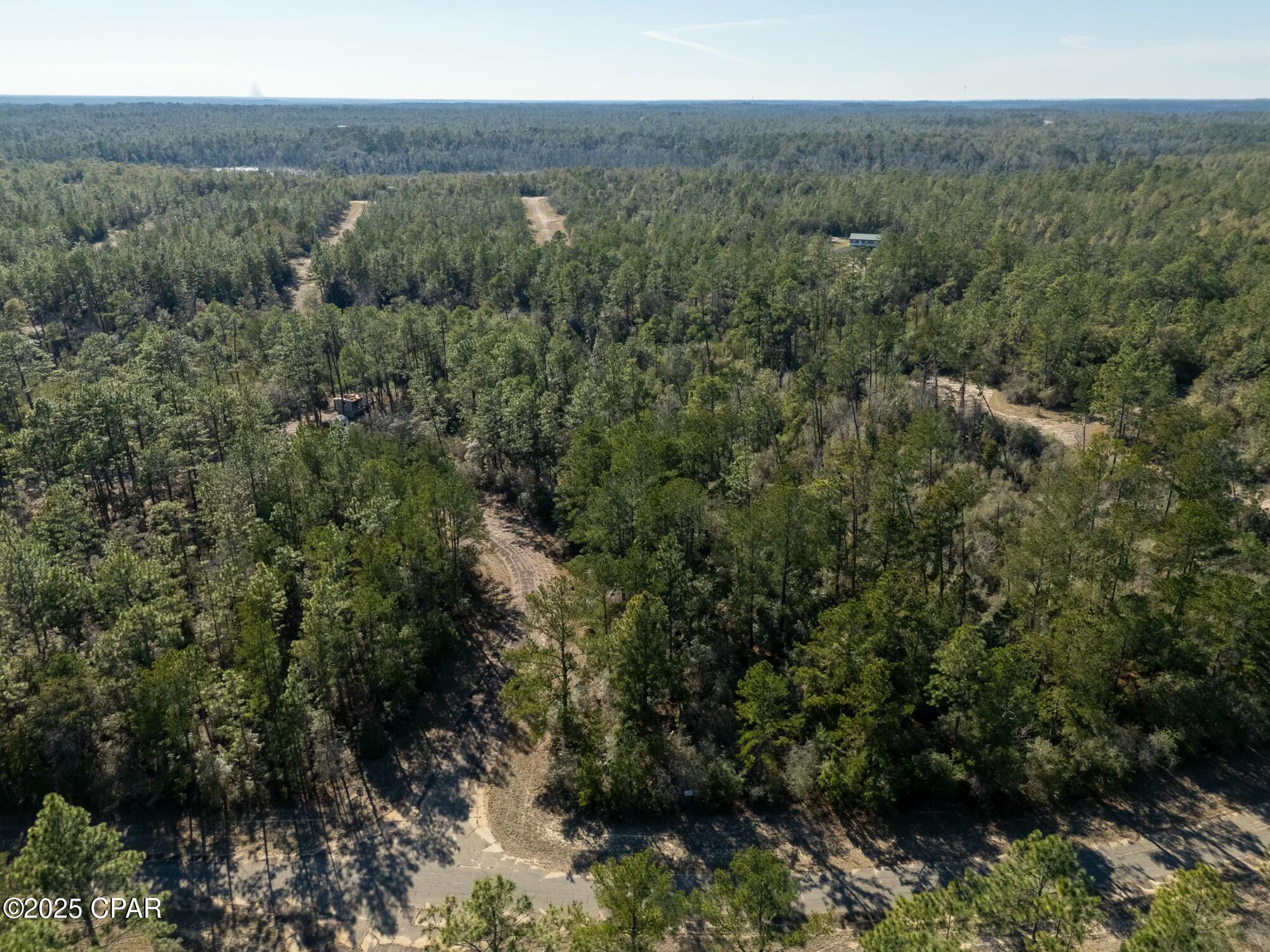 TBD Adirondack #R, Chipley, Florida image 2