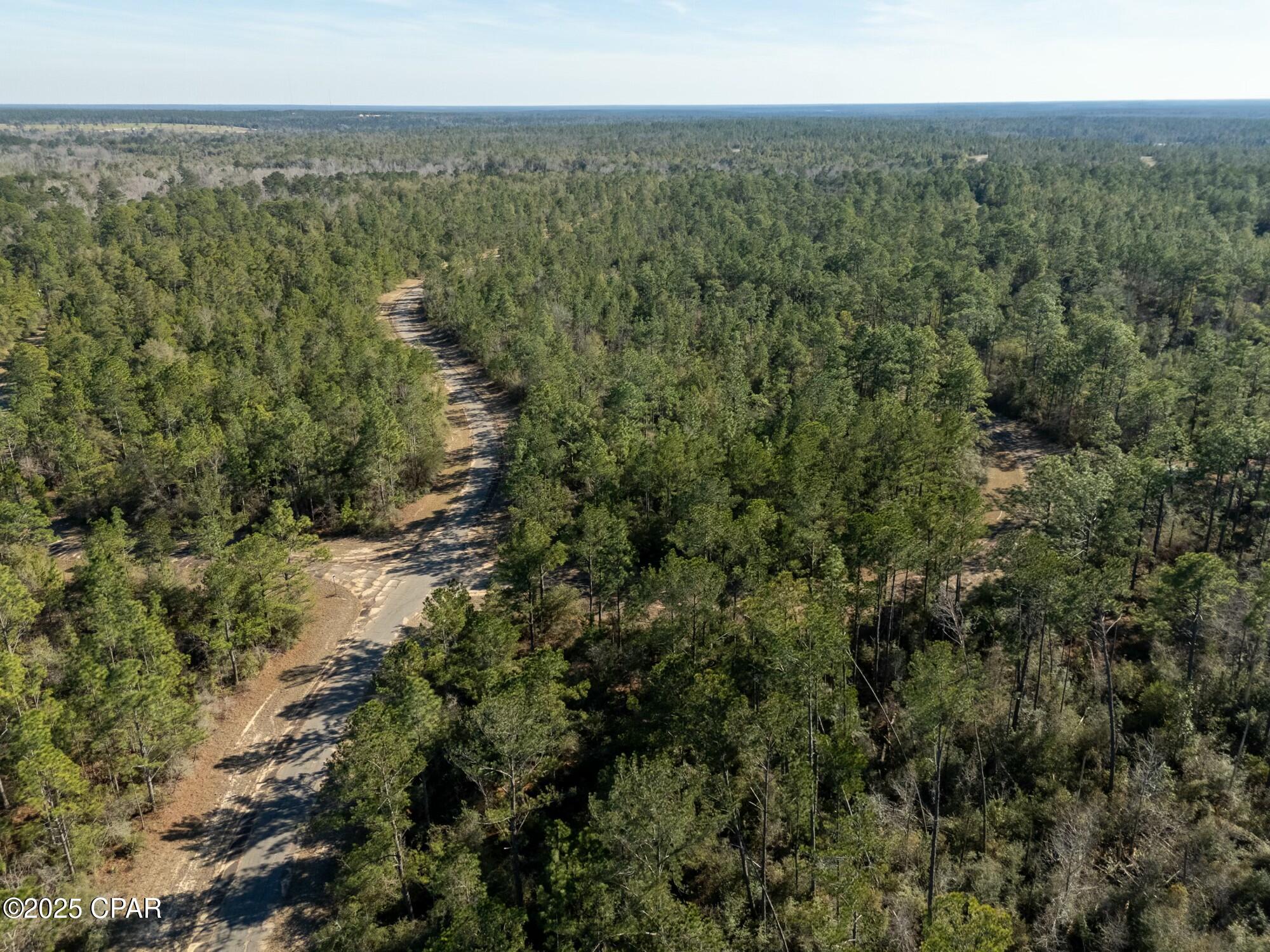 TBD Adirondack #R, Chipley, Florida image 6