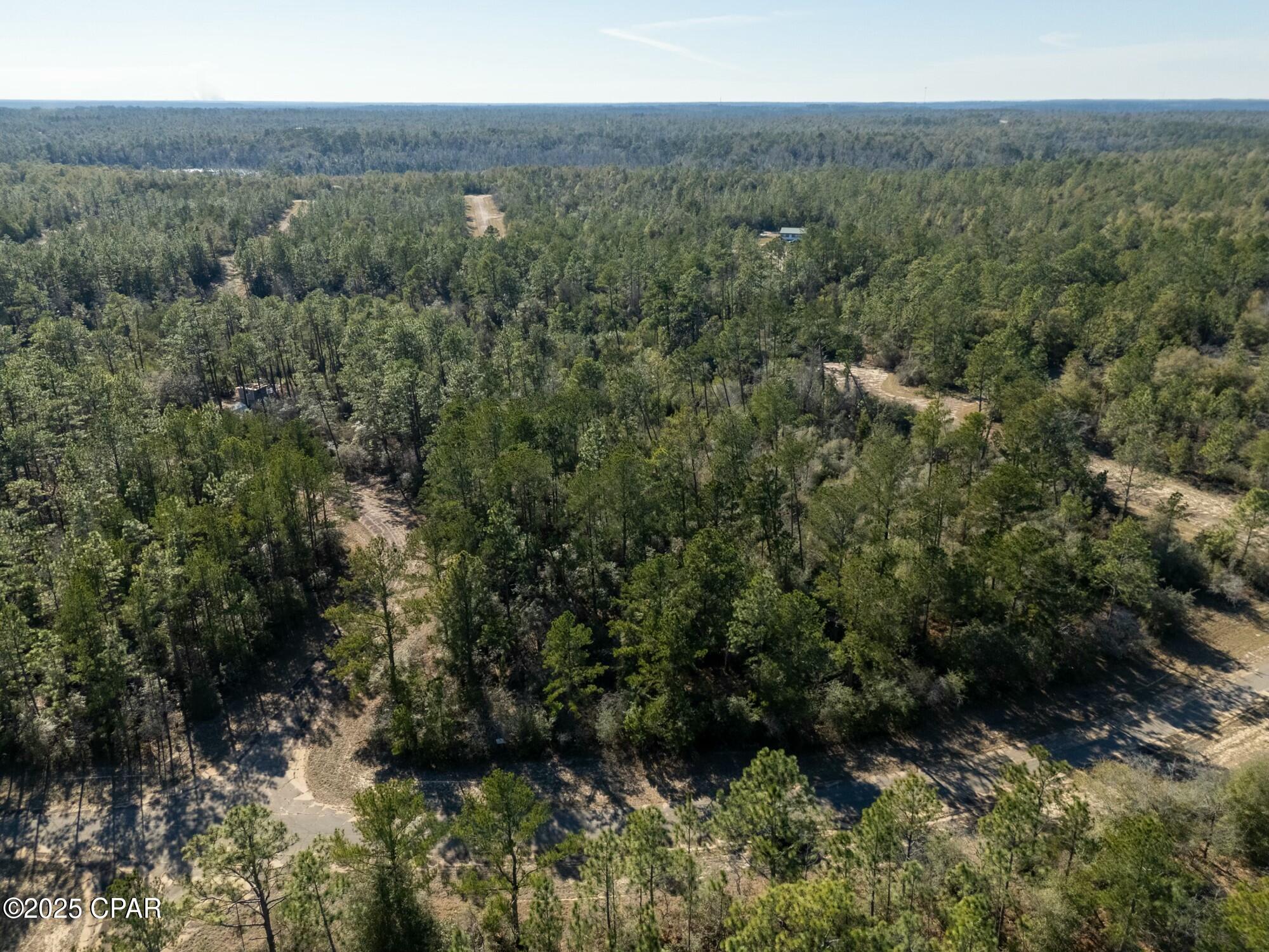 TBD Adirondack #R, Chipley, Florida image 8