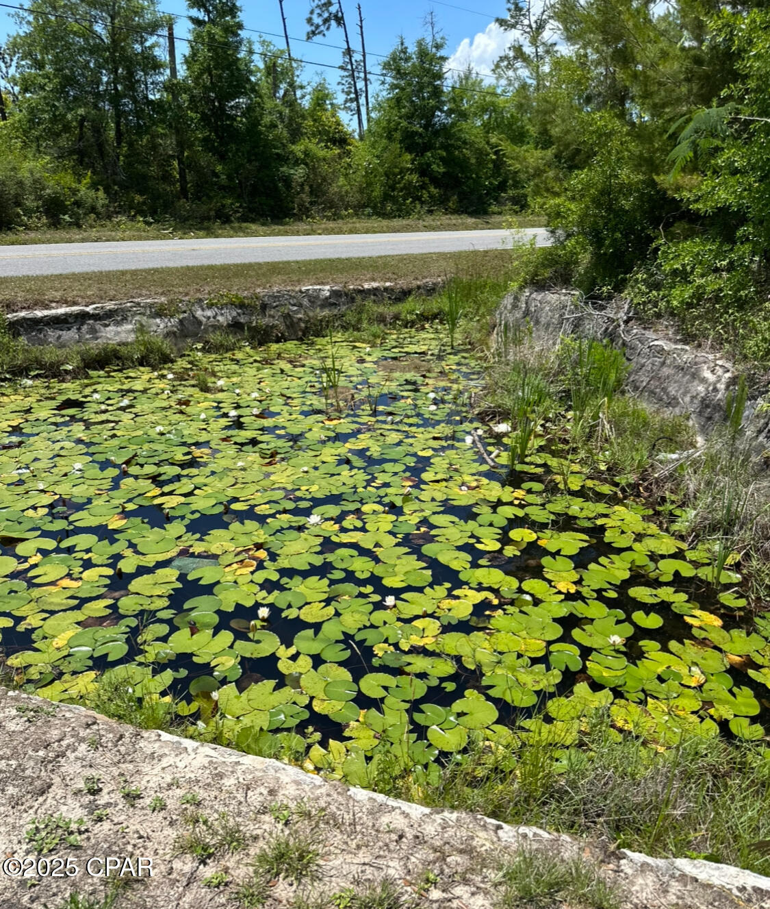 5415 Bayhead Road, Youngstown, Florida image 7