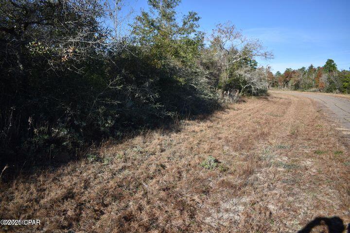 Image 2 For 000 Laredo Drive