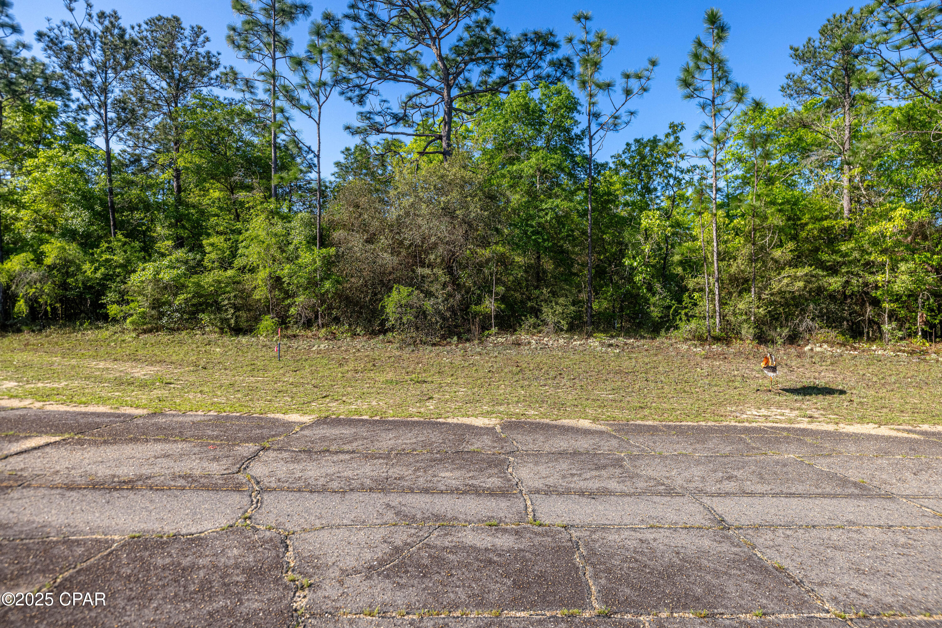 Lot 8 & 9 Conway Court, Chipley, Florida image 20