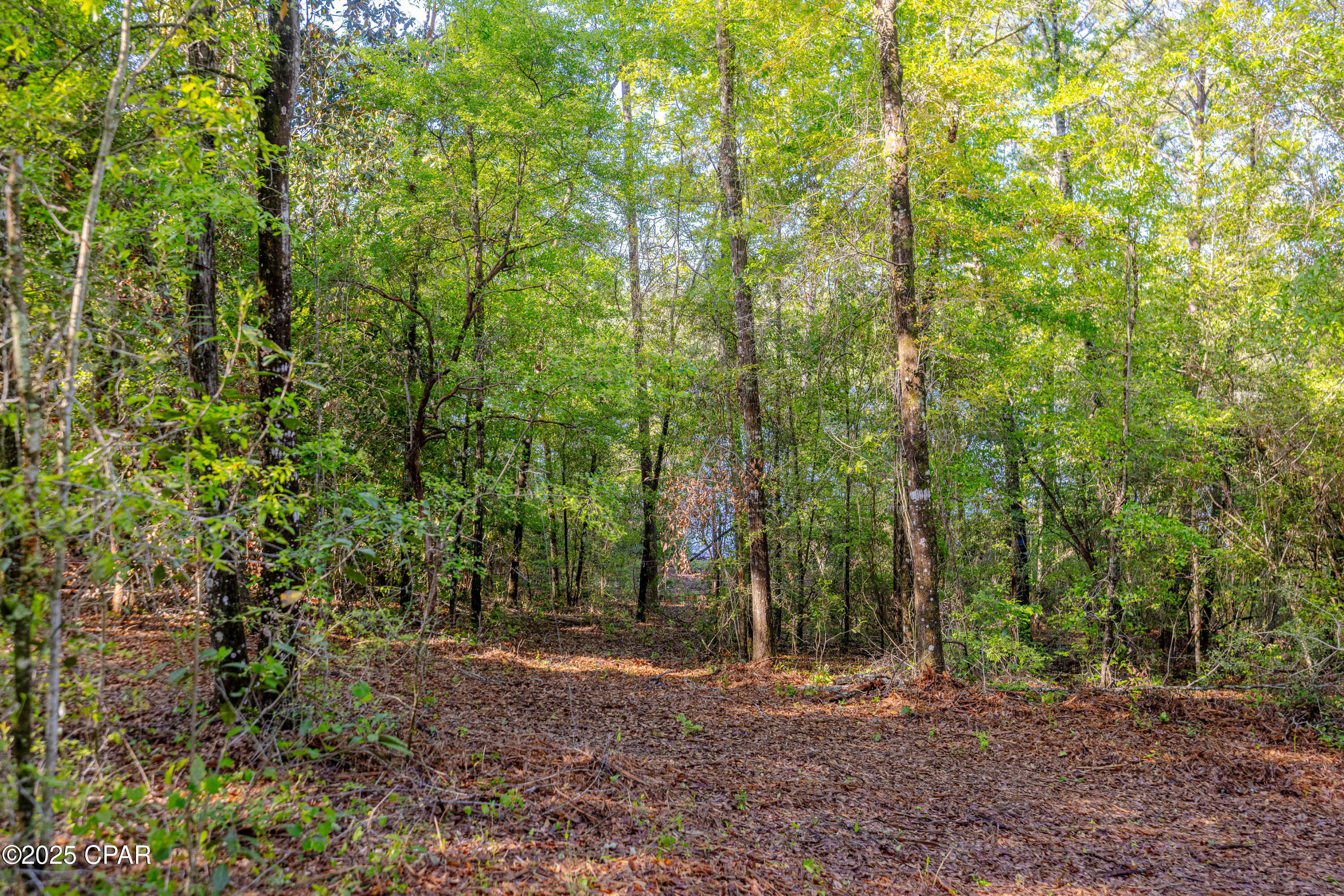 Image 8 For Lot 8 & 9 Conway Court