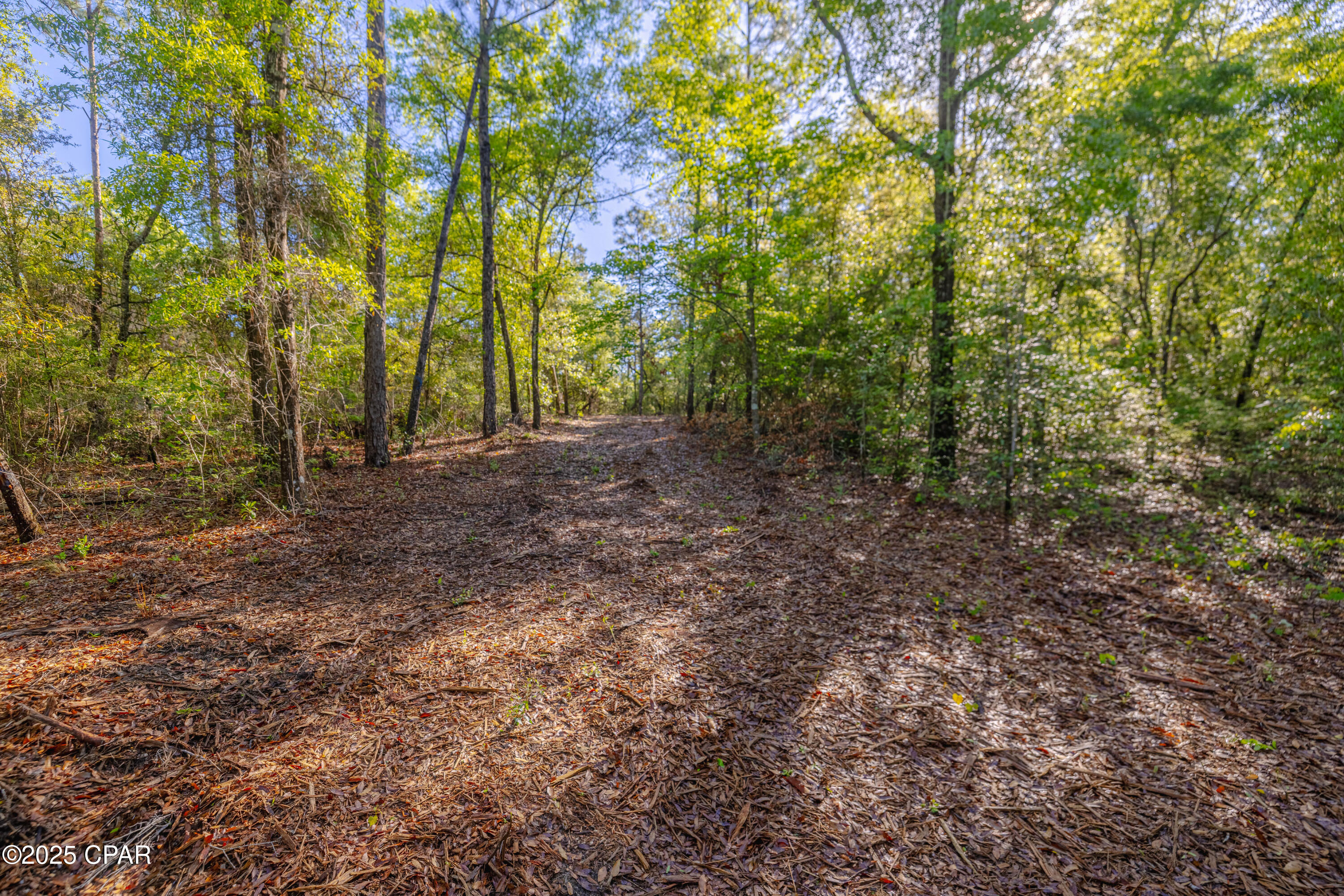 Lot 8 Conway Court, Chipley, Florida image 15