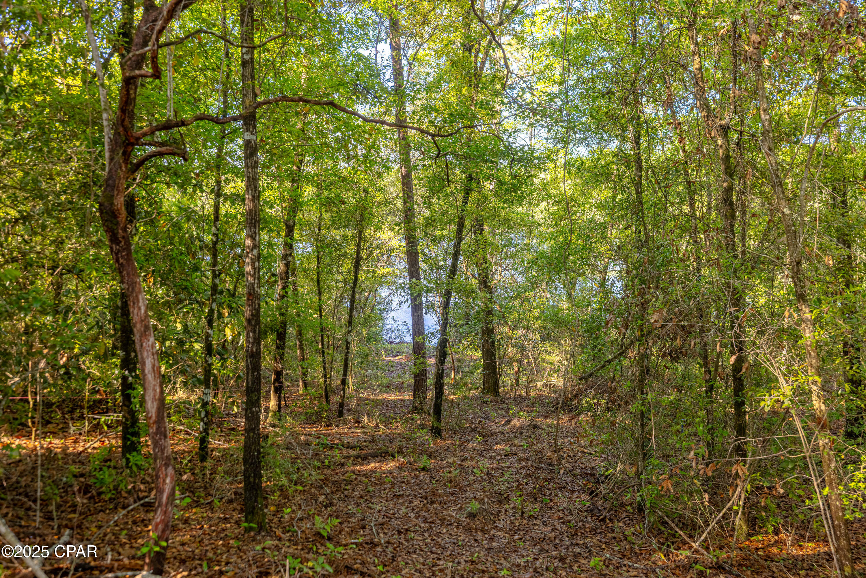 Lot 8 Conway Court, Chipley, Florida image 16
