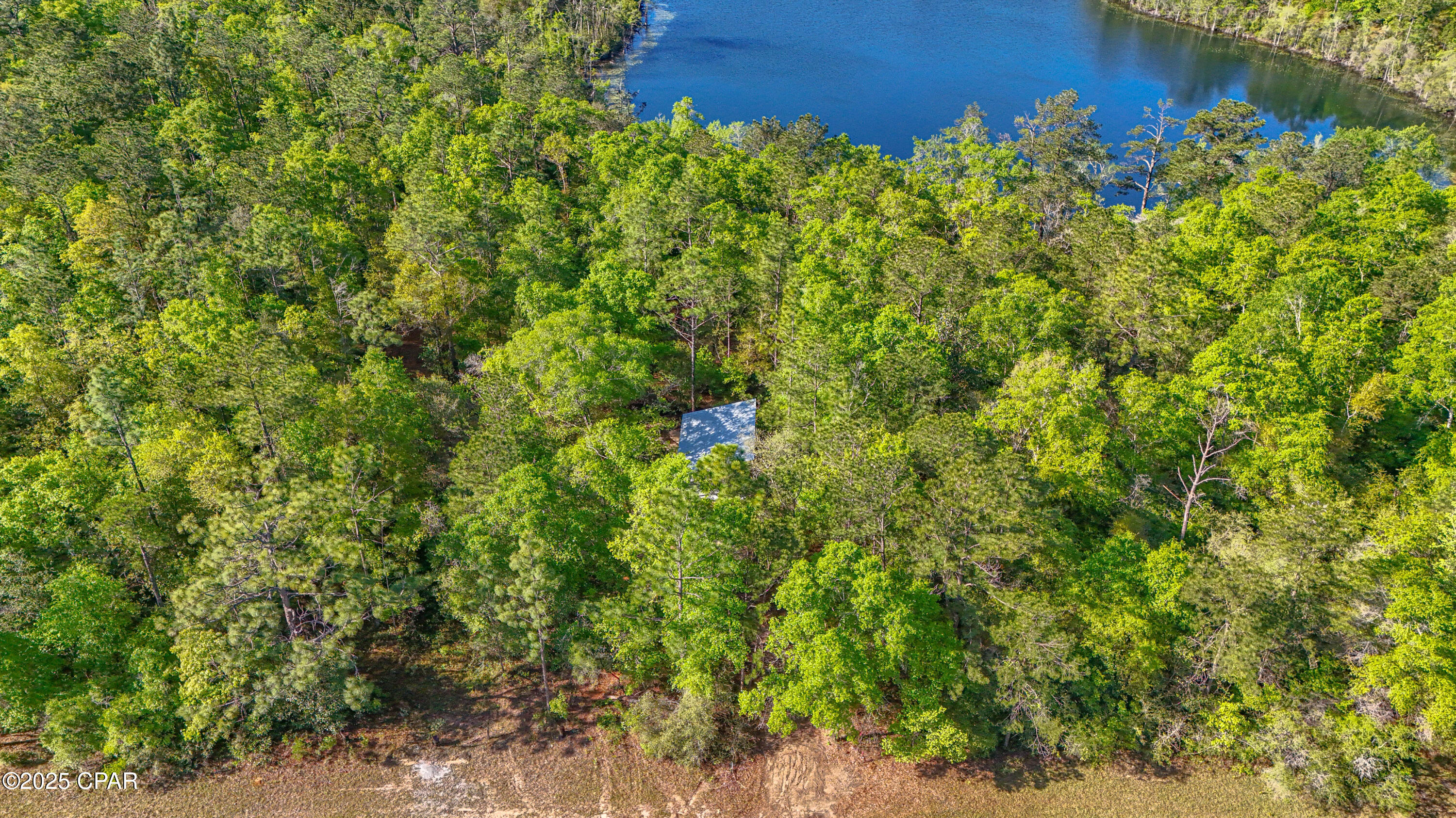 Lot 8 Conway Court, Chipley, Florida image 38