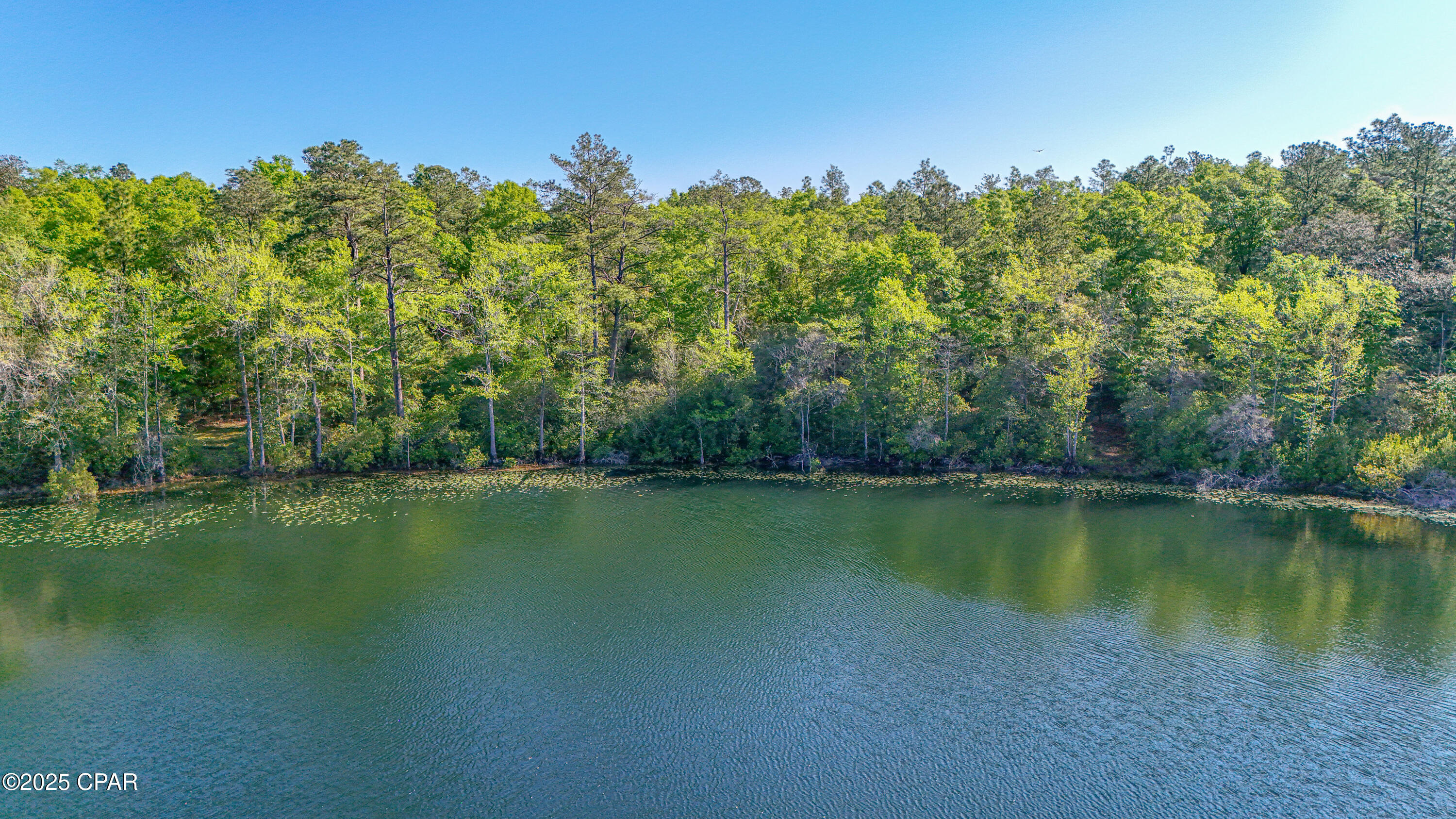 Lot 8 Conway Court, Chipley, Florida image 6