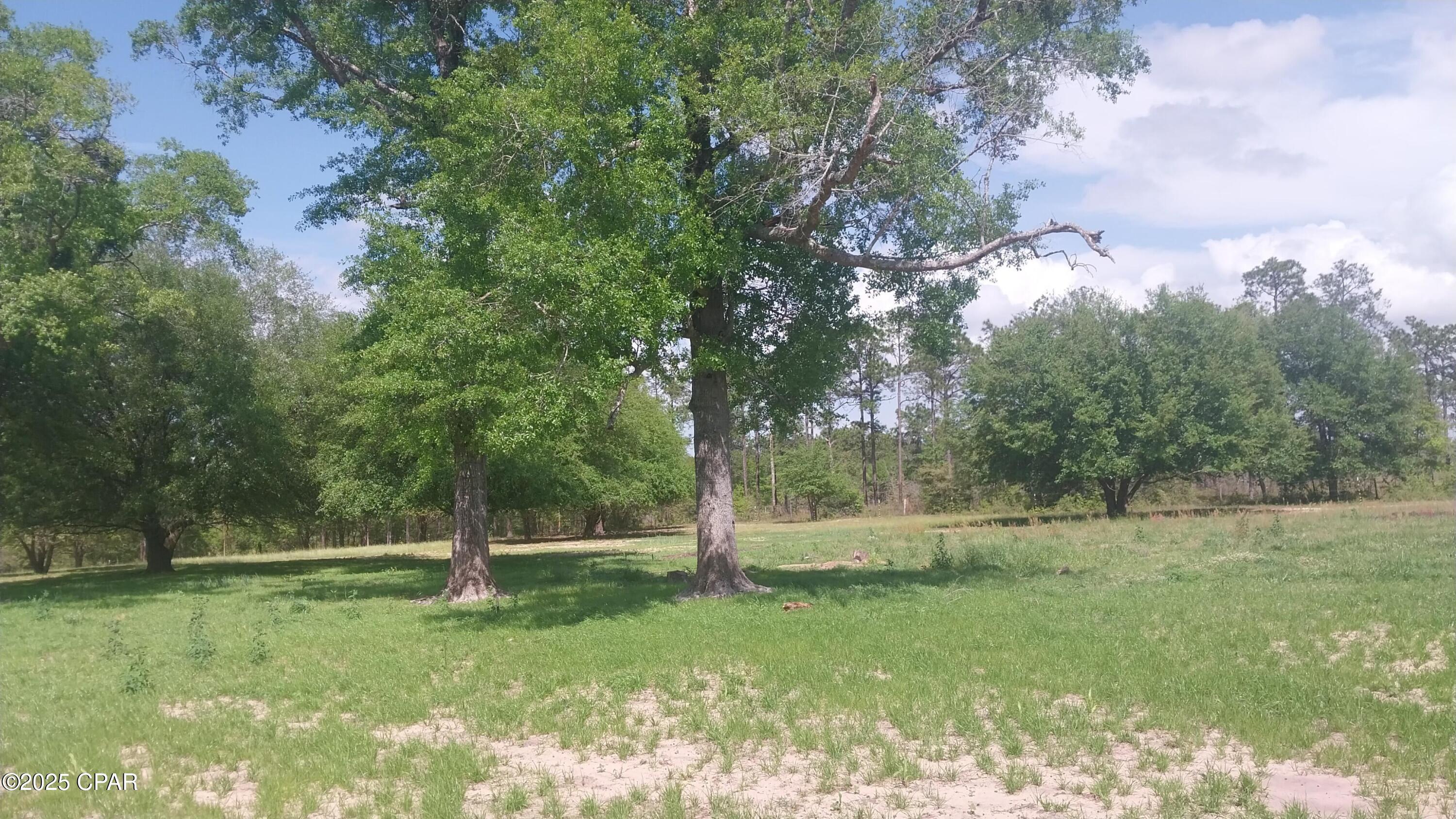 2618 Hard Labor Road, Chipley, Florida image 12