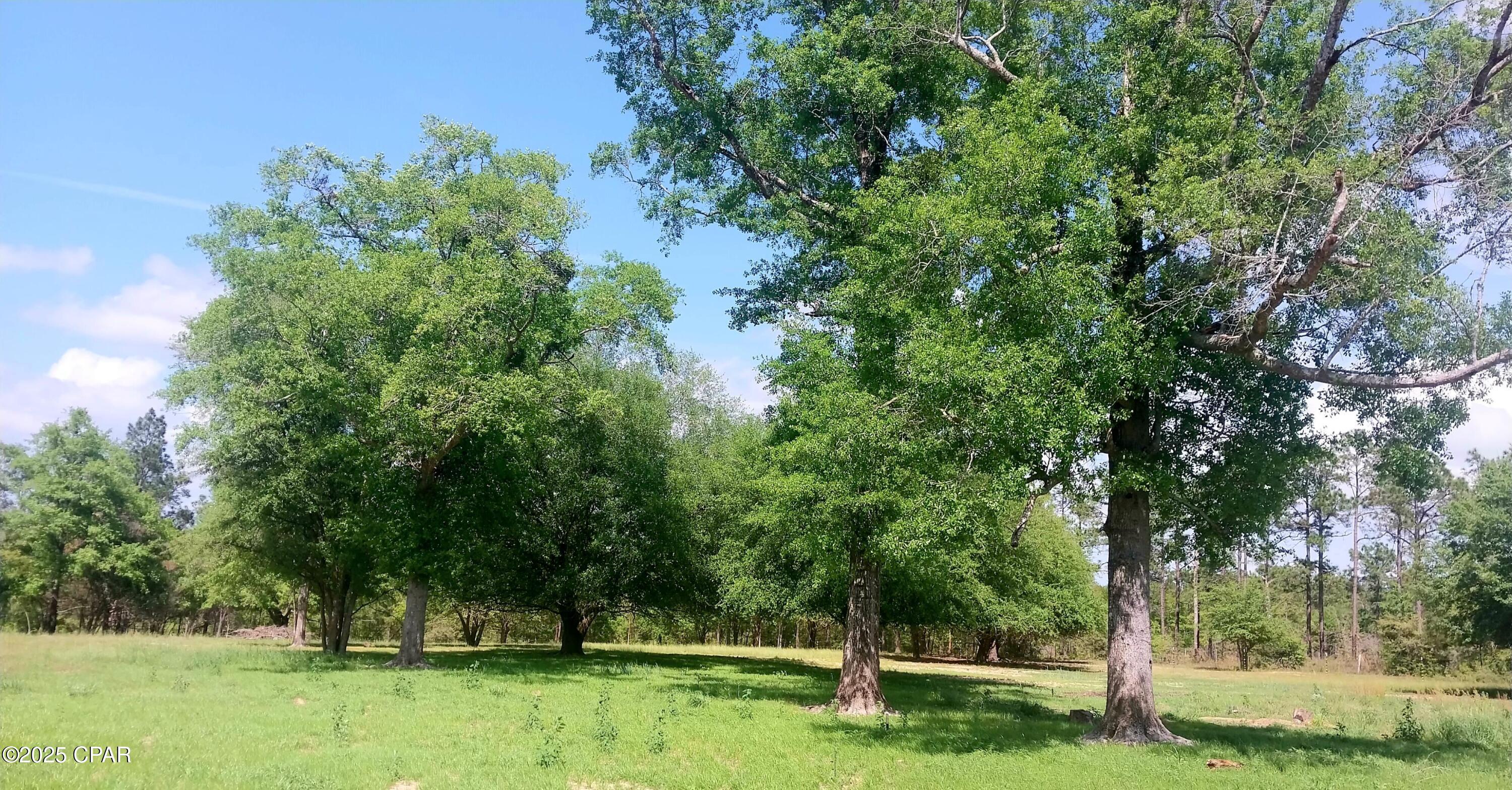 2618 Hard Labor Road, Chipley, Florida image 13