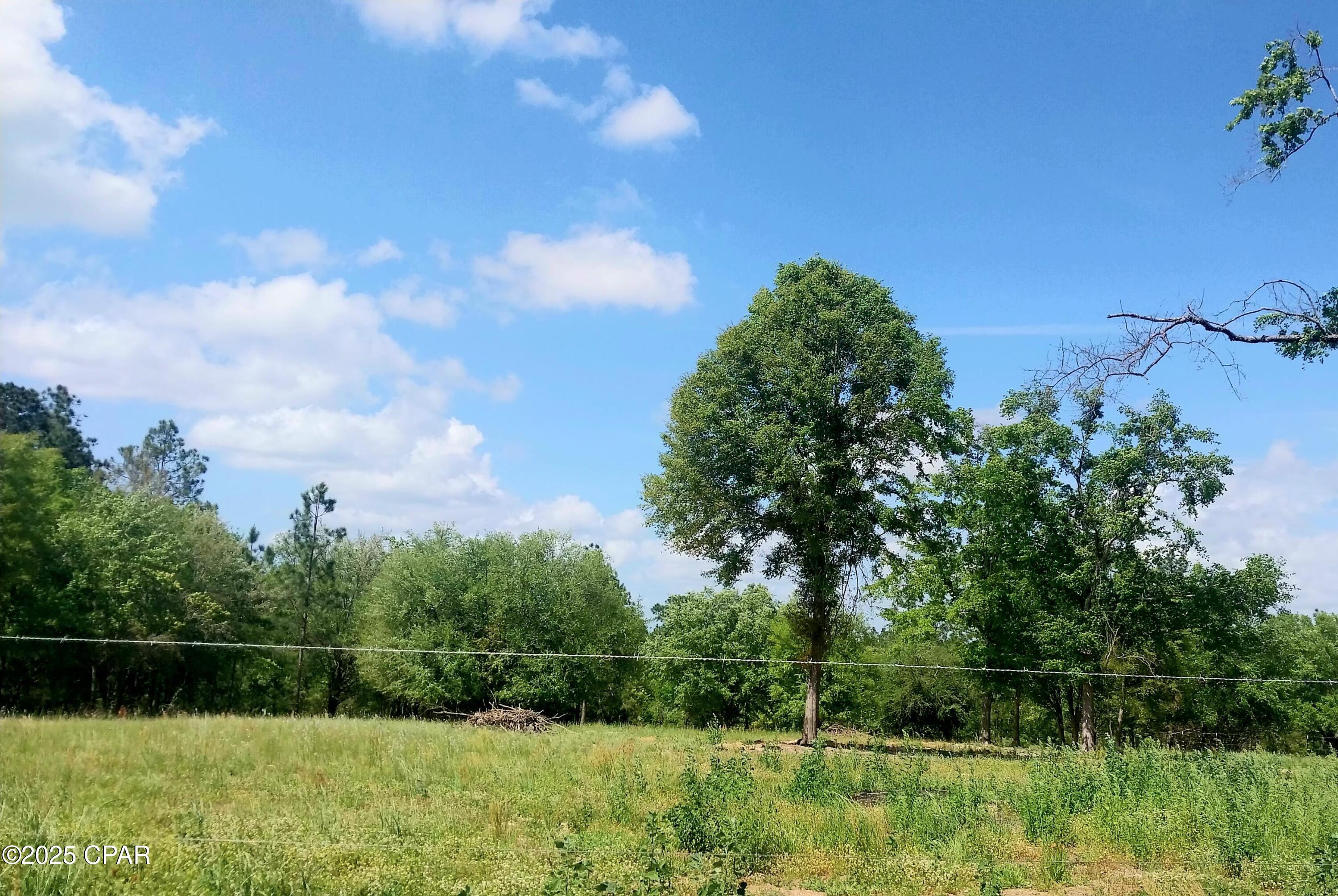 2618 Hard Labor Road, Chipley, Florida image 4