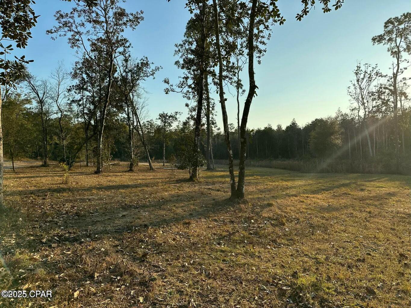Image 4 For 0000 Strickland Road