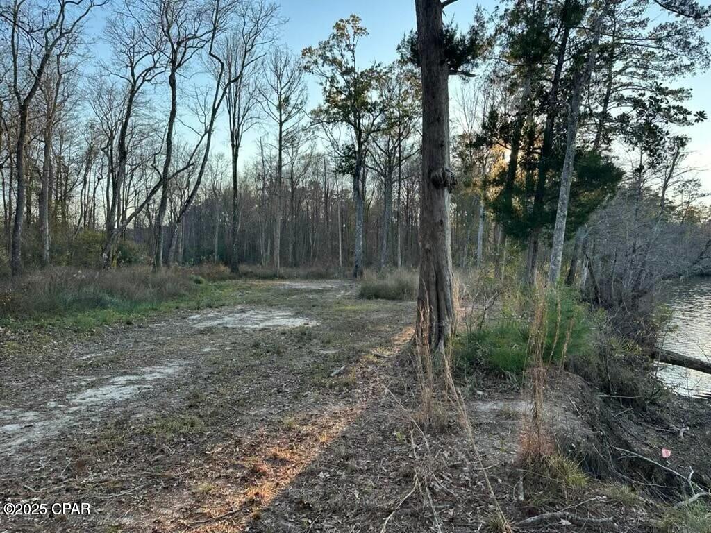 Image 5 For 0000 Strickland Road